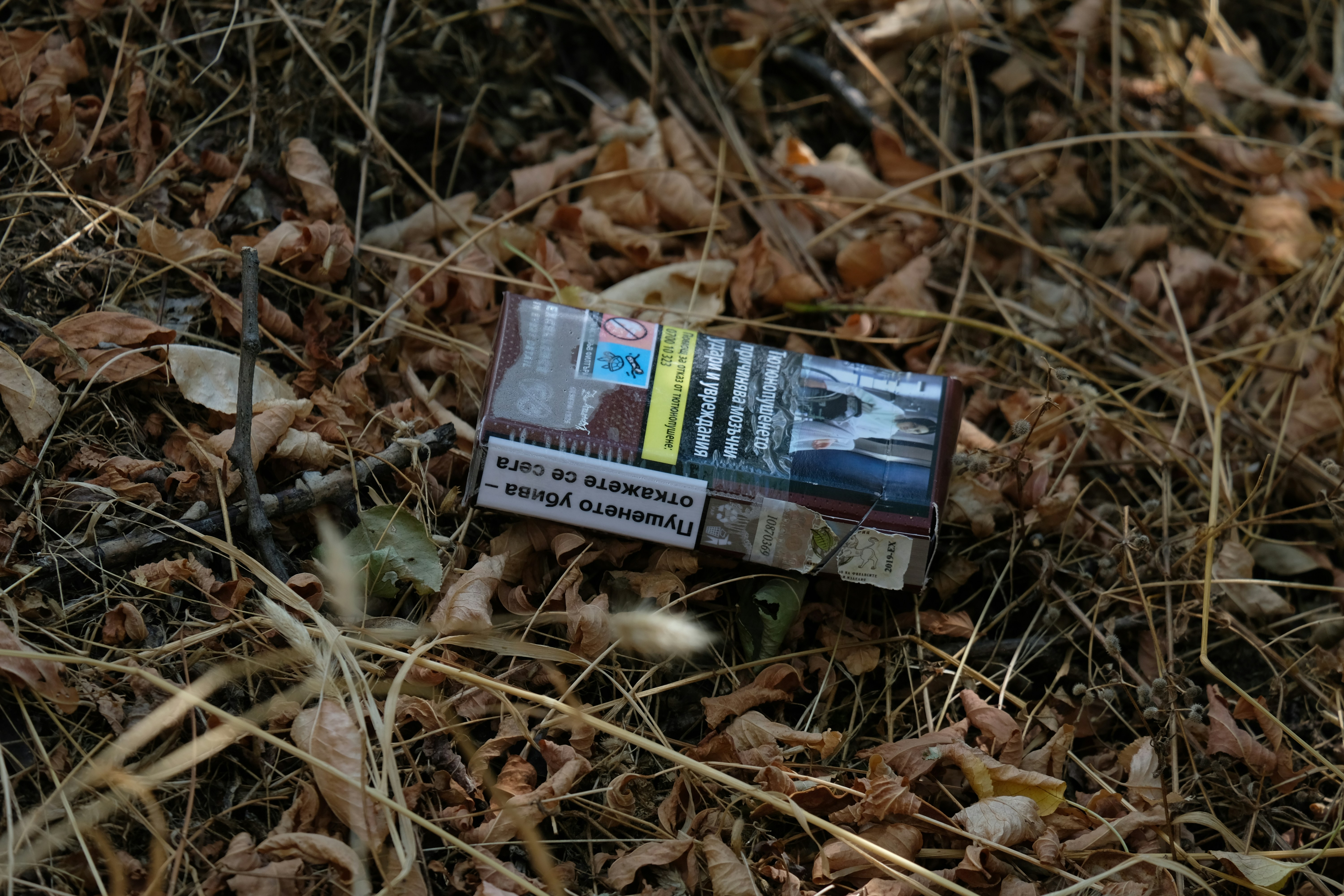 a newspaper laying in the middle of a pile of leaves