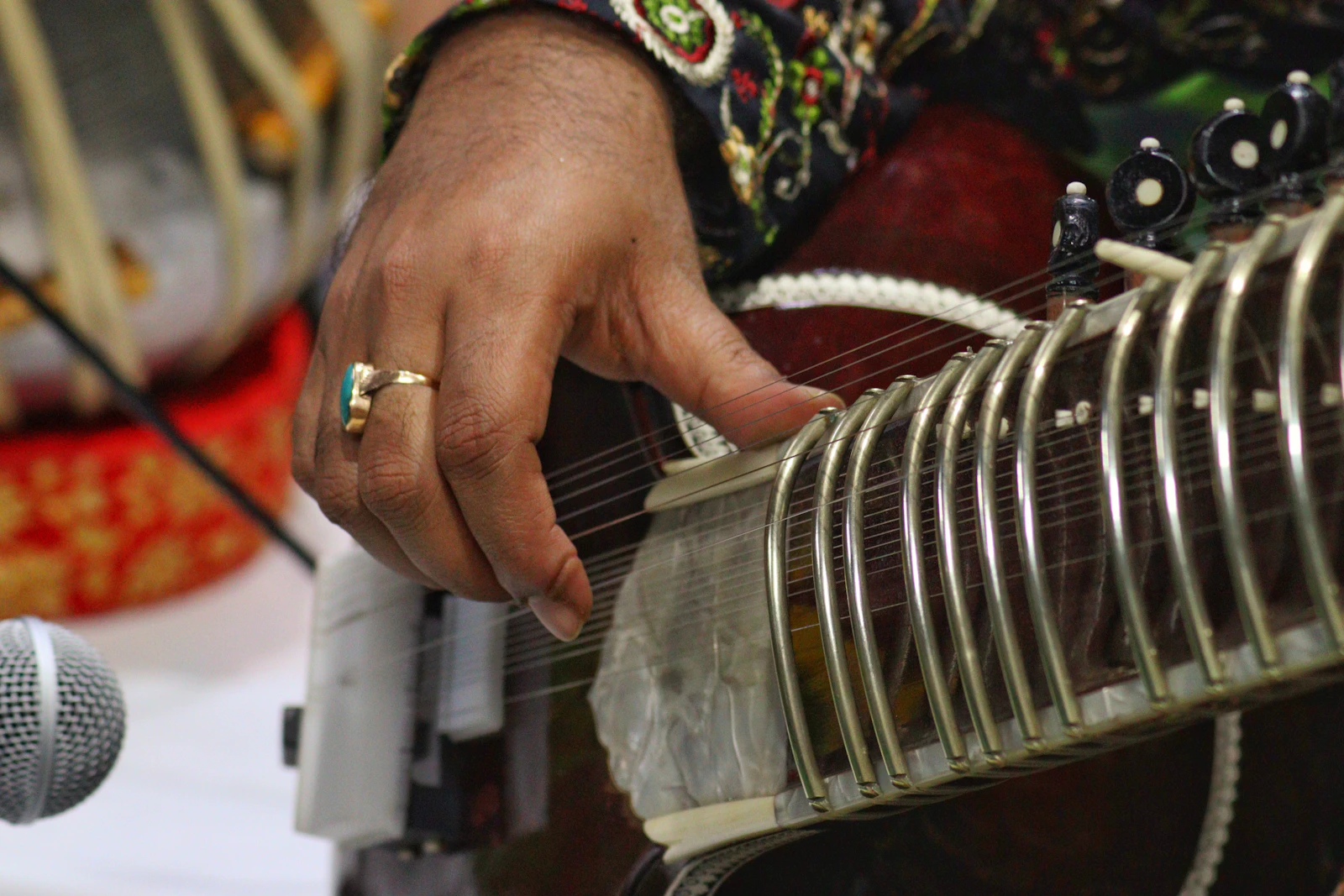 Close-up of hands on the strings of an Indian classical instrument