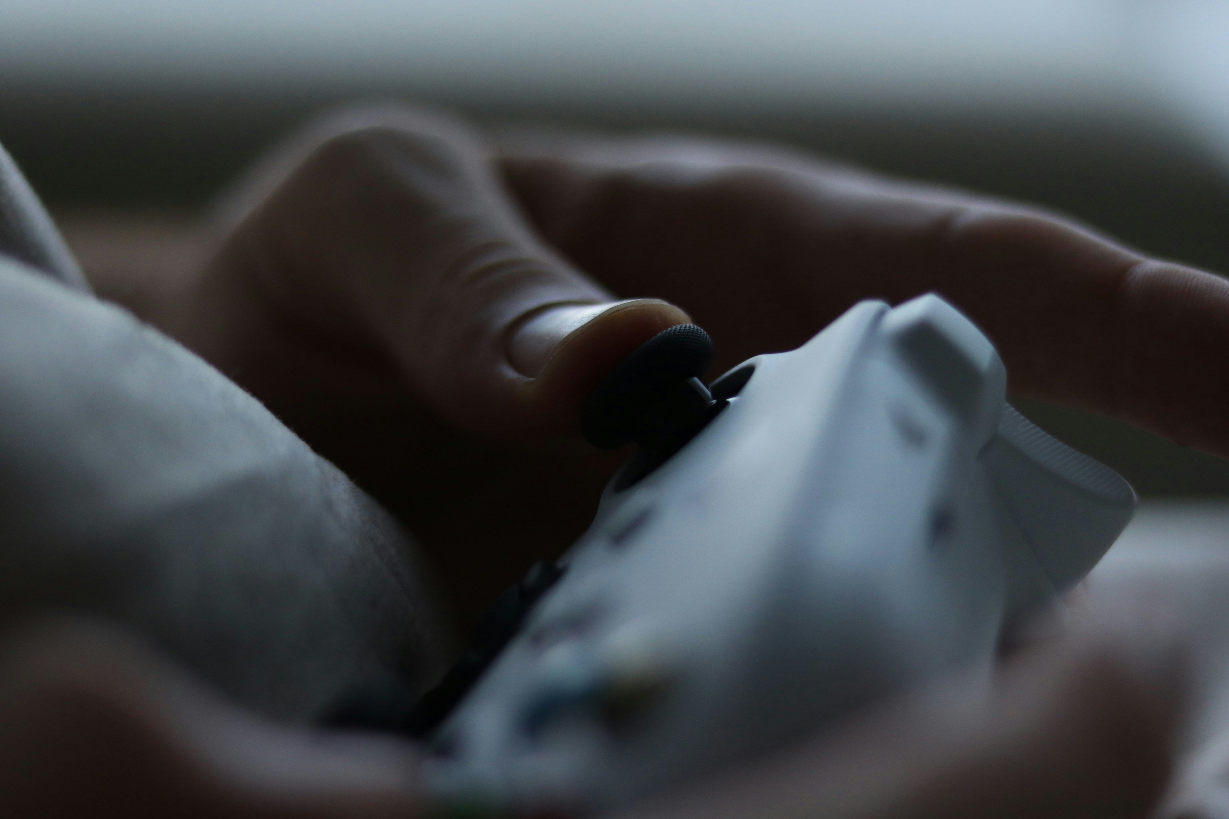 Photo by allysphotos