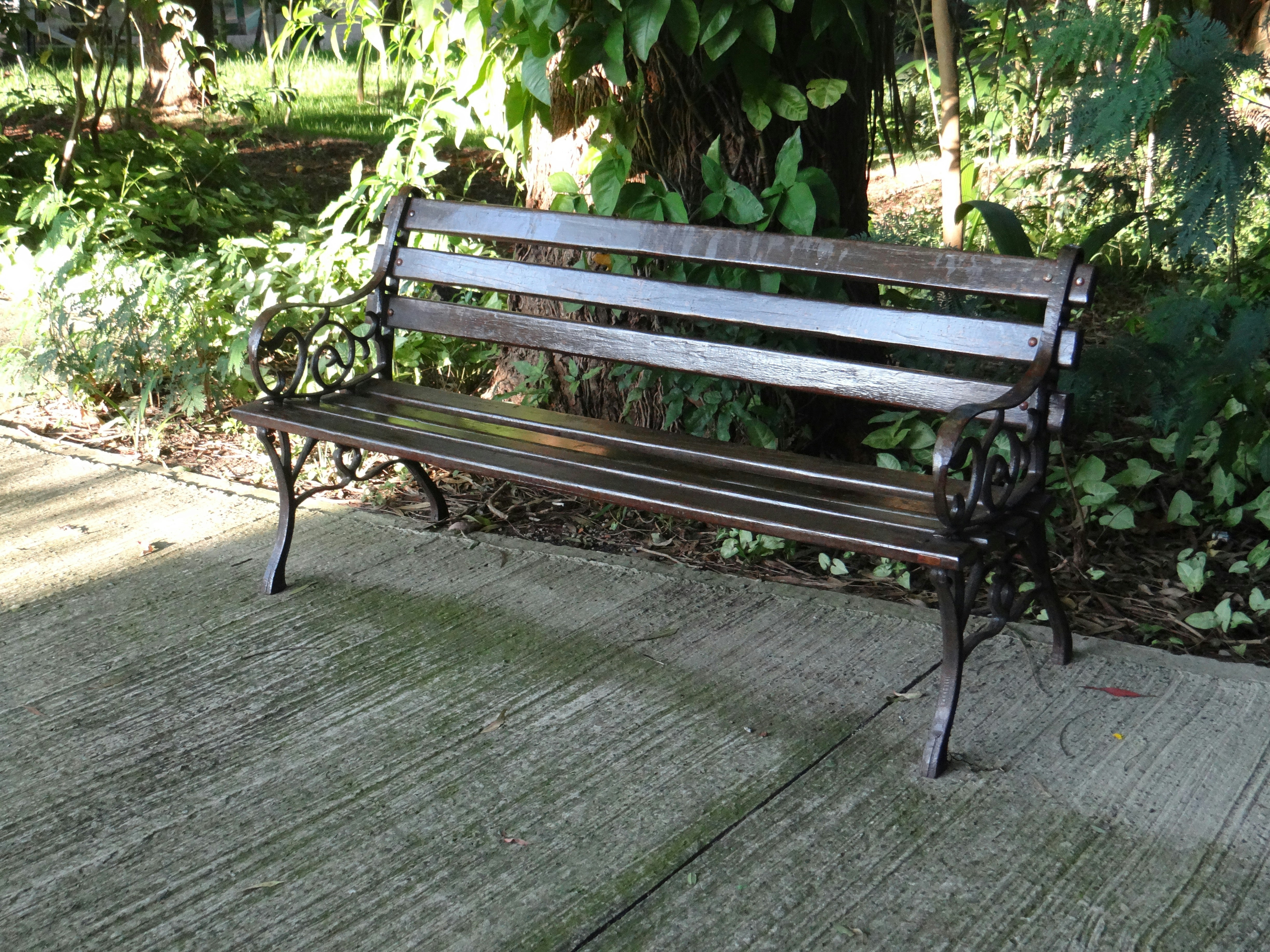 Elegant Garden Bench