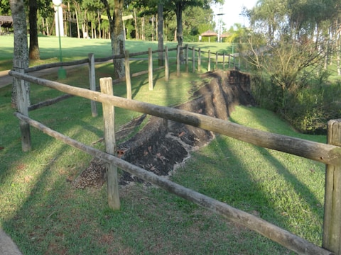A peaceful green space featuring a modern fence blending with natural surroundings.