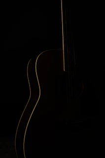an acoustic guitar is lit up in the dark