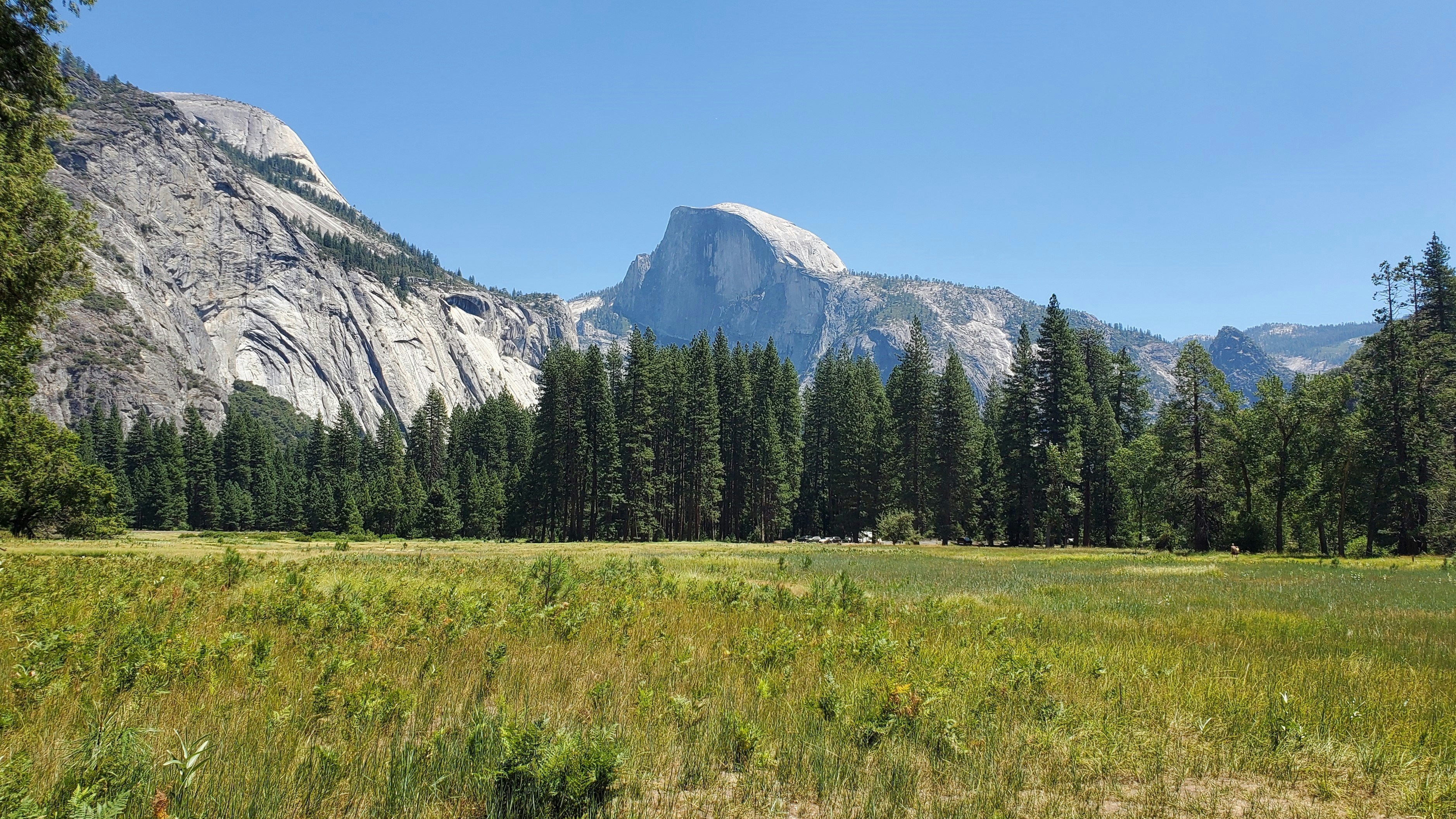 a grassy field with trees and mountains in the background