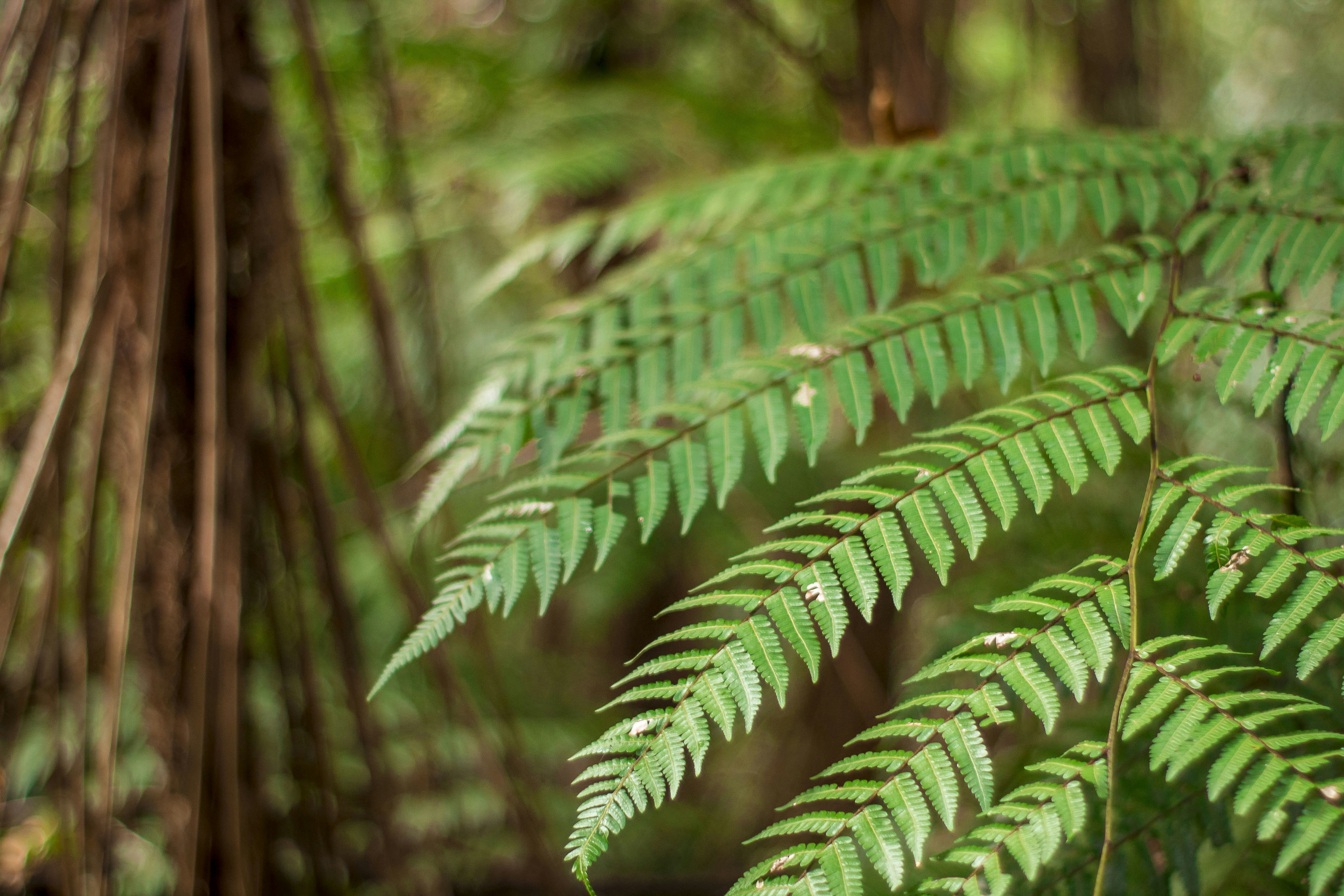 Photo by taliafurlan