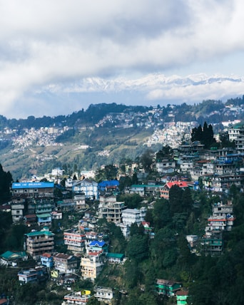 a view of a city with mountains in the background