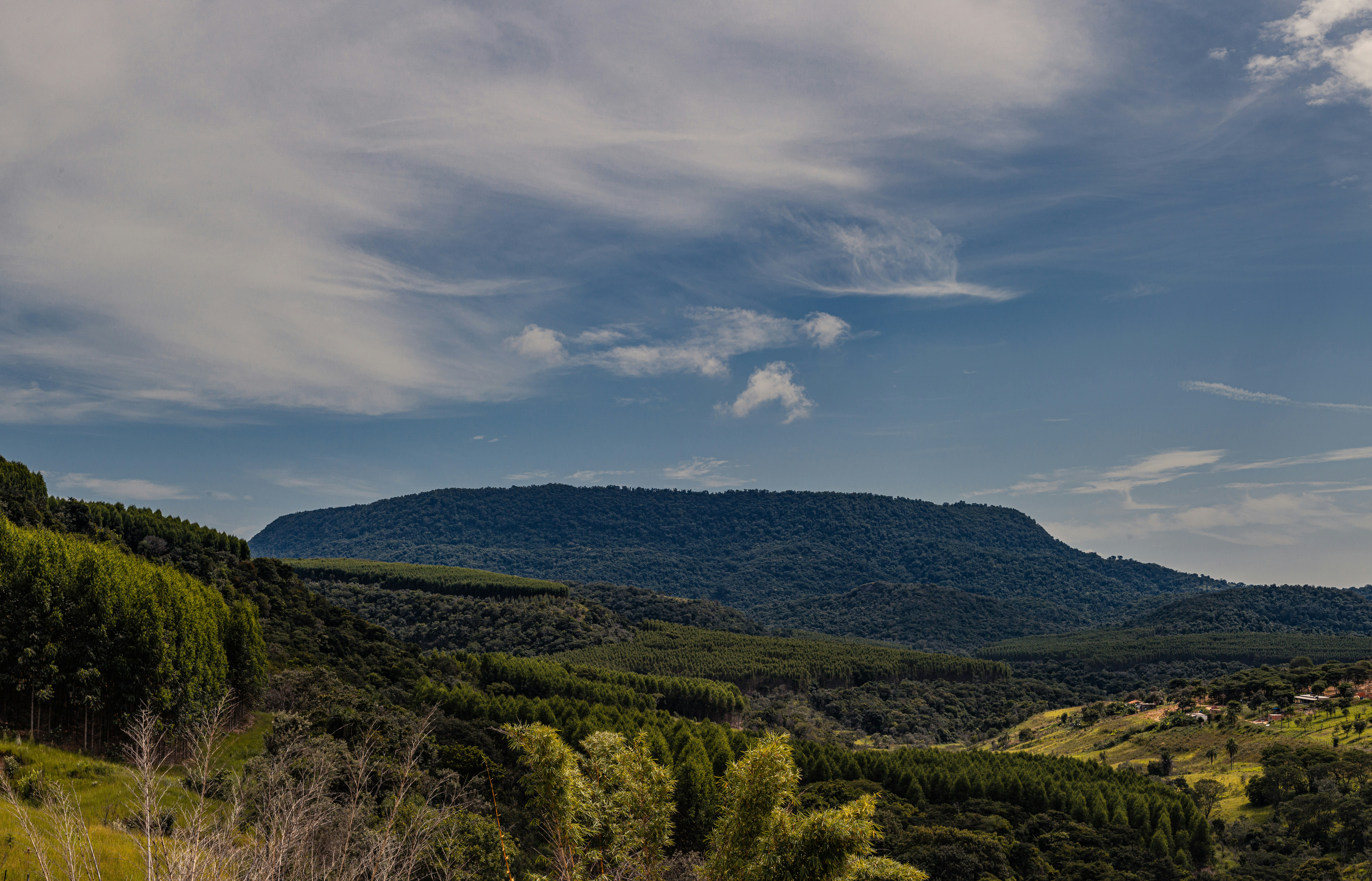 a view of a mountain range with trees and hills in the background