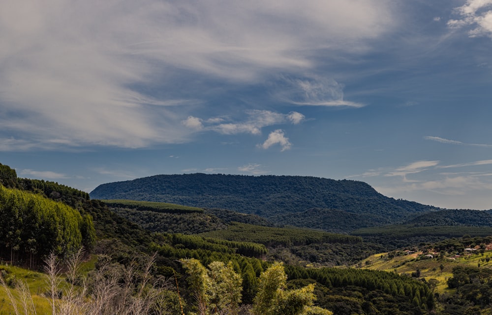 a view of a mountain range with trees and hills in the background