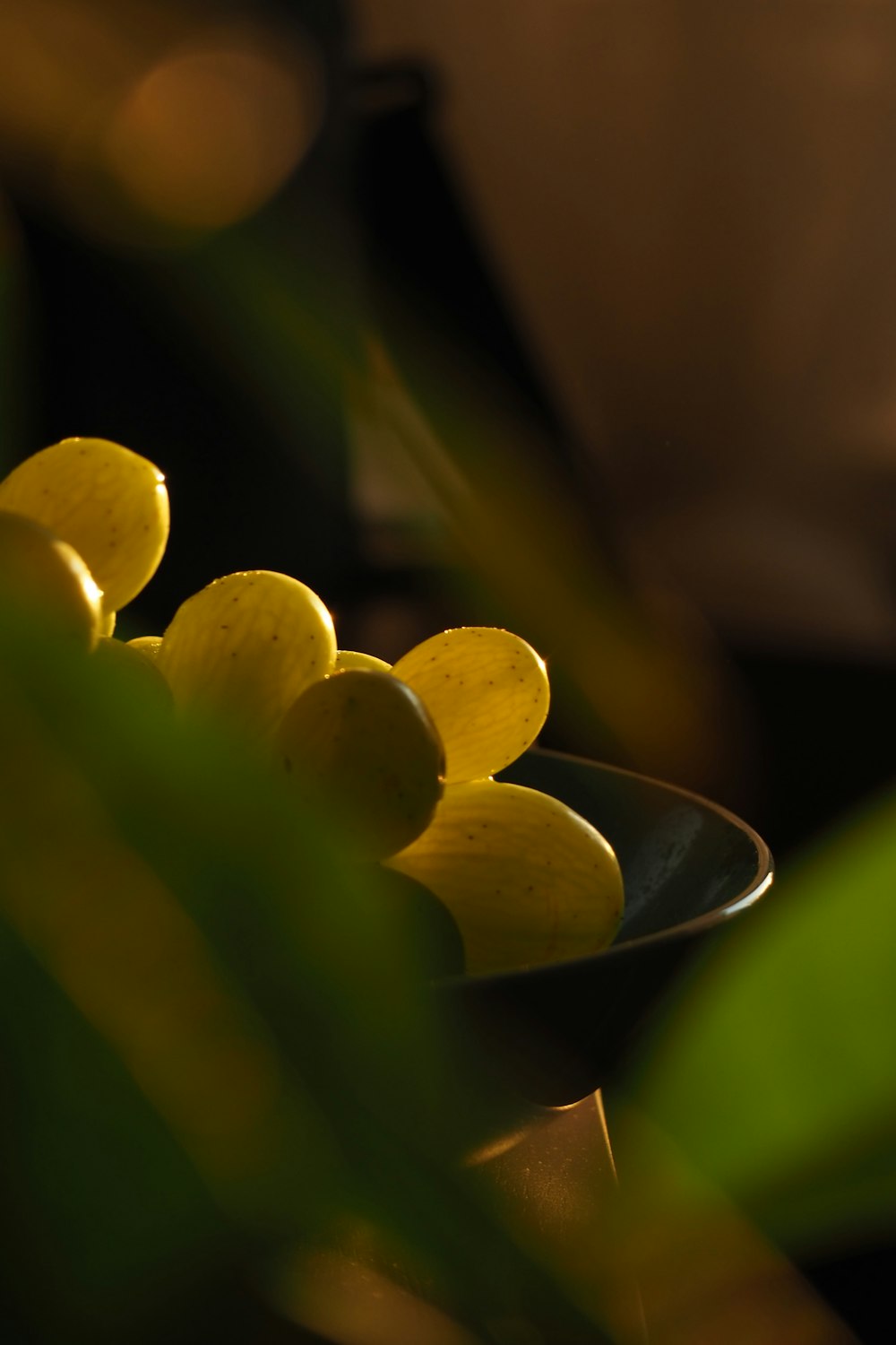 Un plato de flores amarillas sobre una mesa