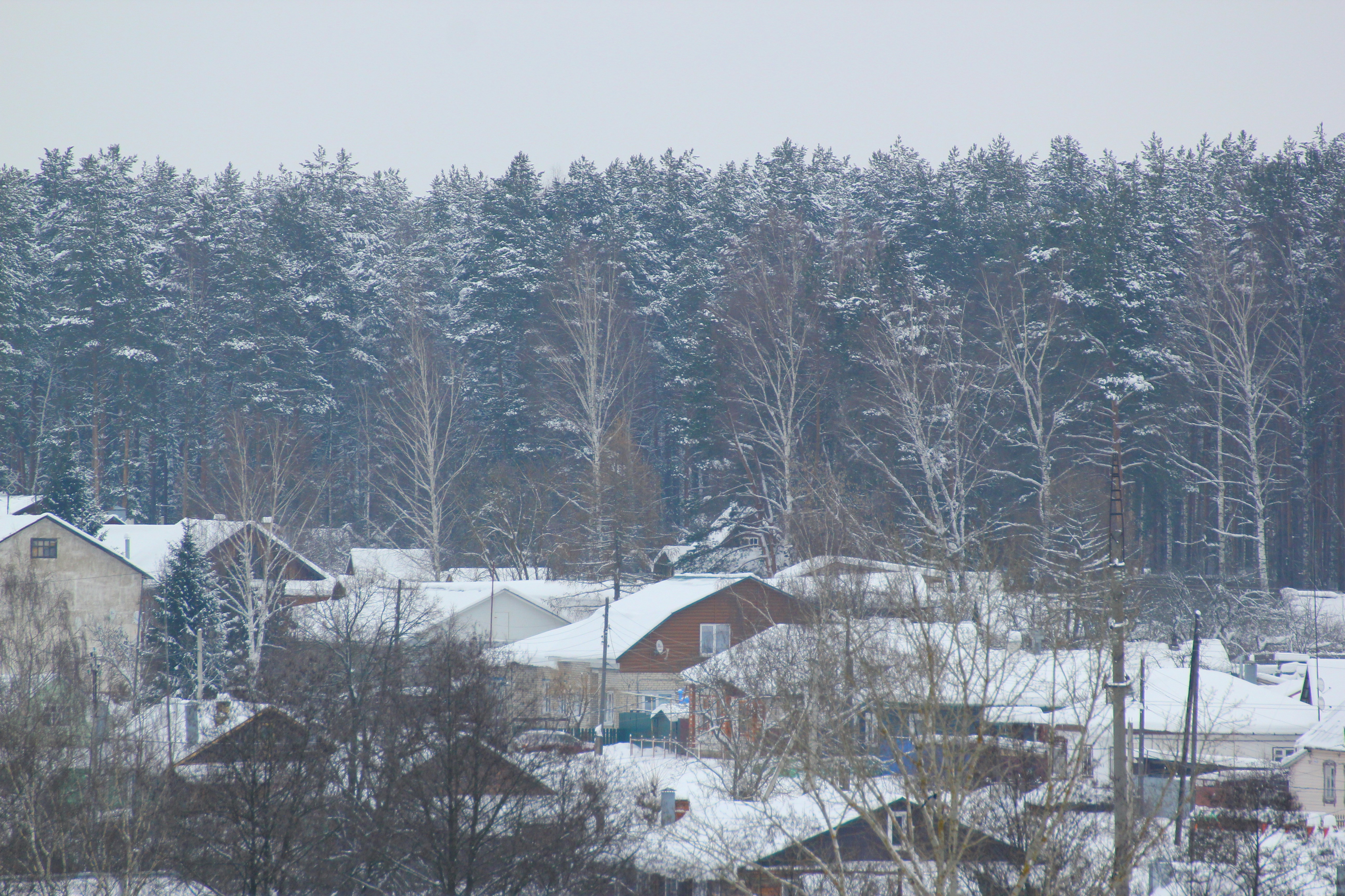 Photo by selenova
