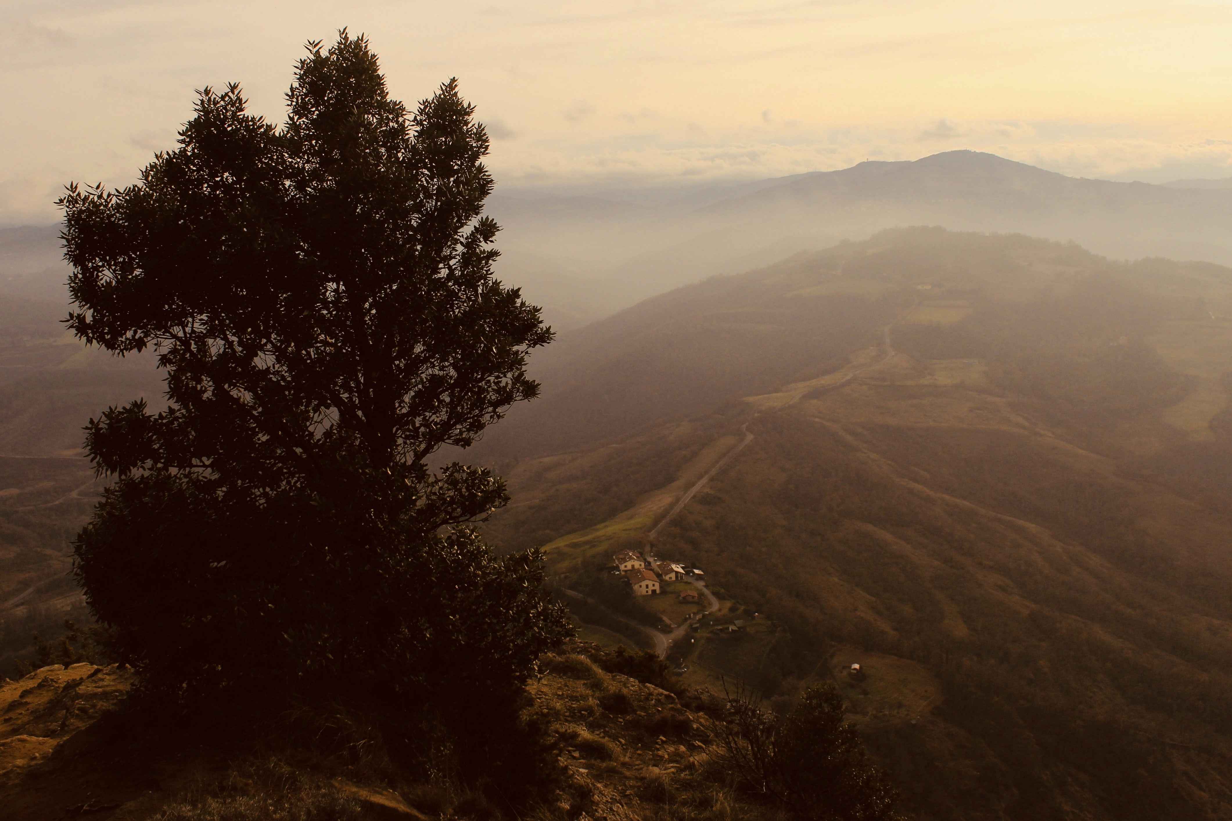 Photo by mattia_poli_04