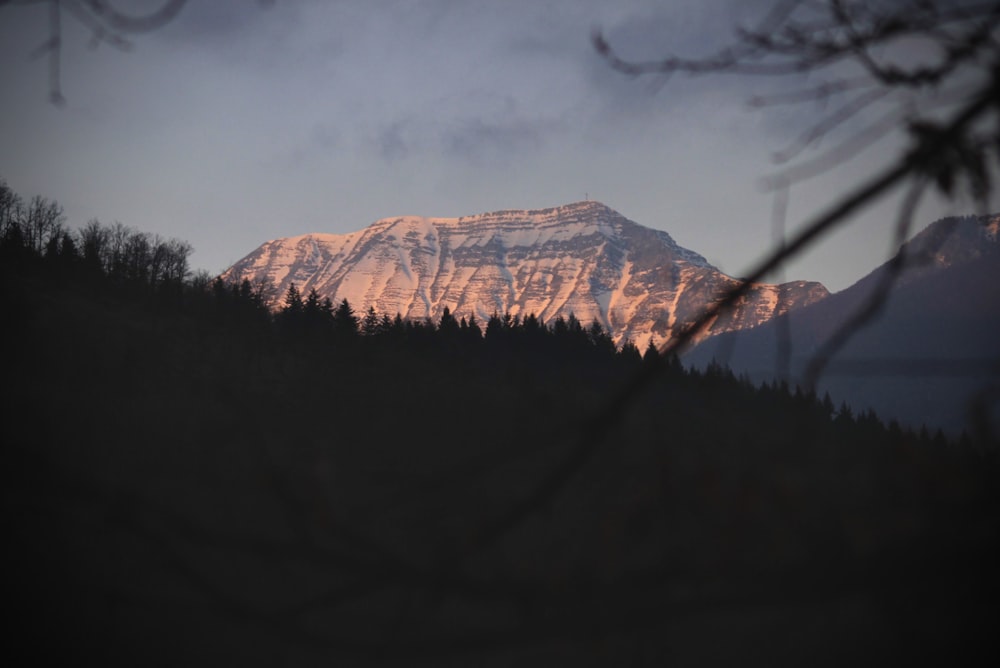 a view of a mountain with trees in the foreground