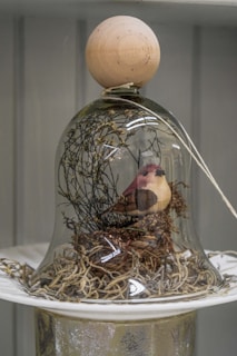 A decorative bird figurine is nestled inside a glass dome. The dome rests on a white plate and is topped with a wooden knob. Inside, the bird sits among dried twigs and straw, creating an antique or rustic feel.