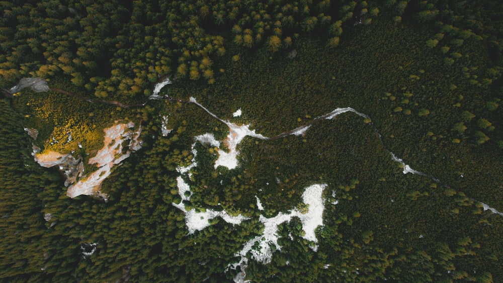 an aerial view of a forest with snow on the ground