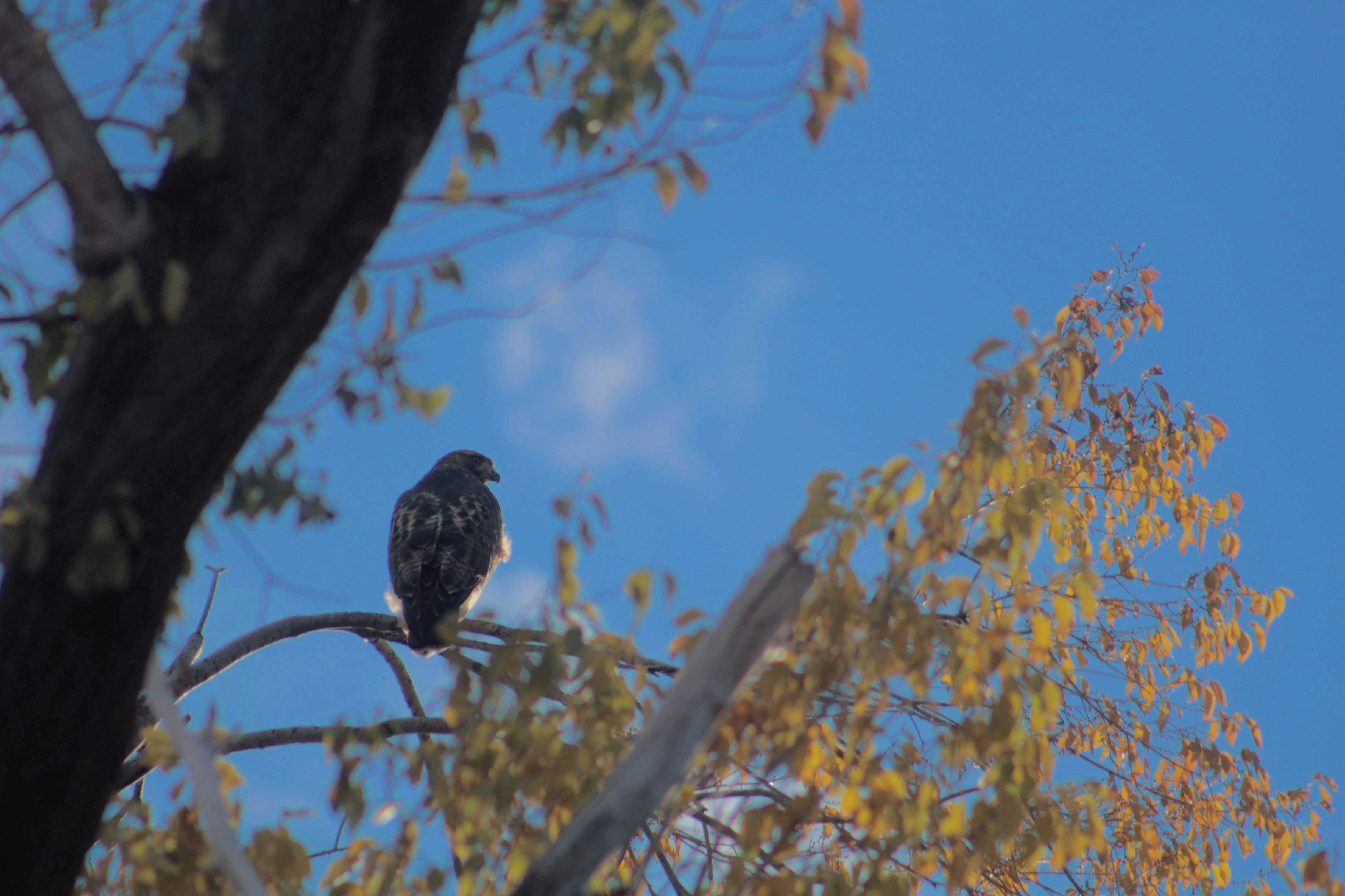 Photo by joshua_hoehne