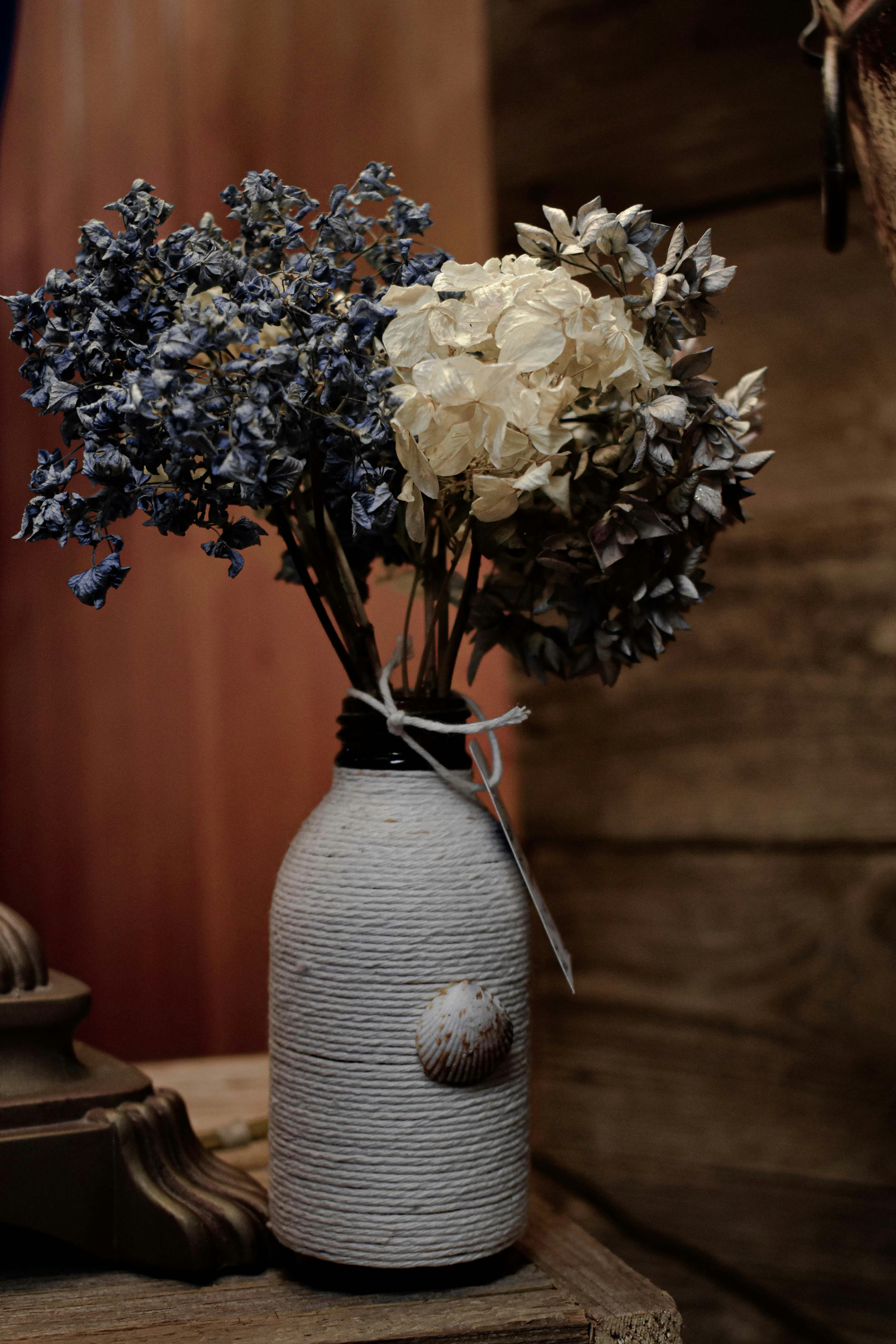 Photo by pictures102