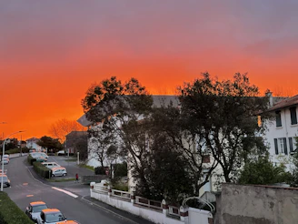 A cozy neighborhood street lined with charming homes at sunset.
