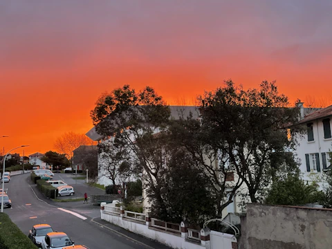 A cozy neighborhood street lined with charming homes at sunset.