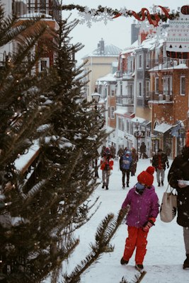 Shoppers in winter gear walking a snowy pedestrian village street, with a spruce branch in the foreground