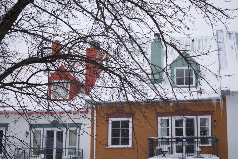 a tree with no leaves in front of a building