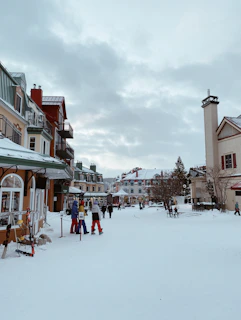 Fresh snow blanketing the charming streets of Manali village.
