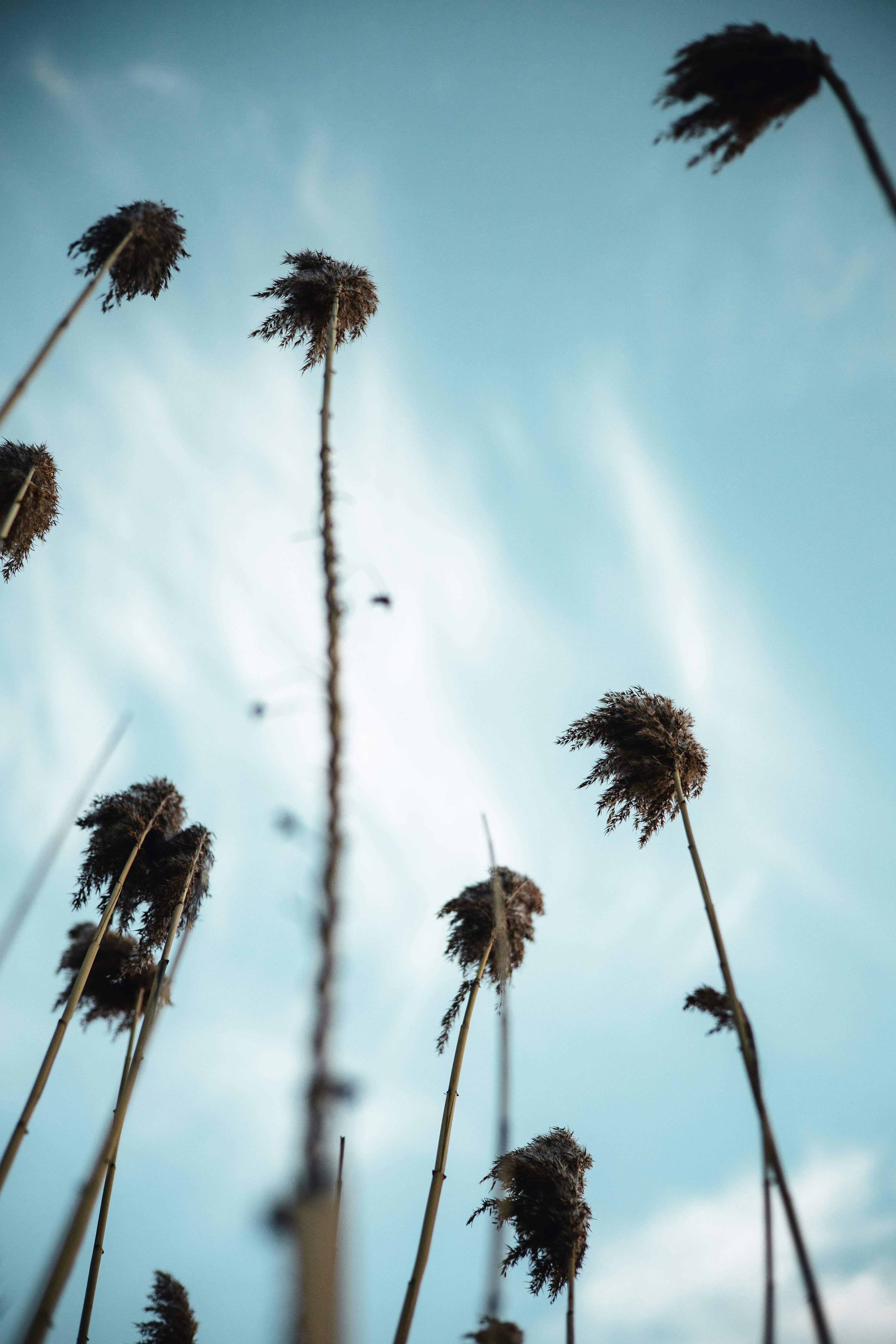Spring Breeze Pictures | Download Free Images on Unsplash