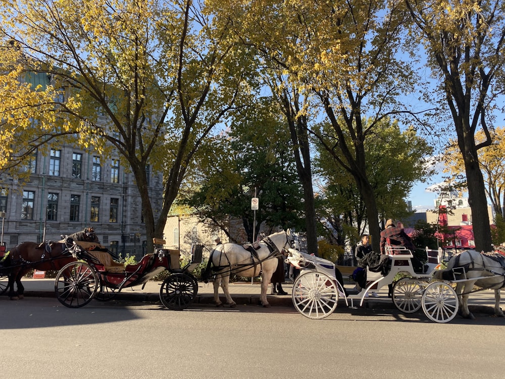 a horse drawn carriage on a city street