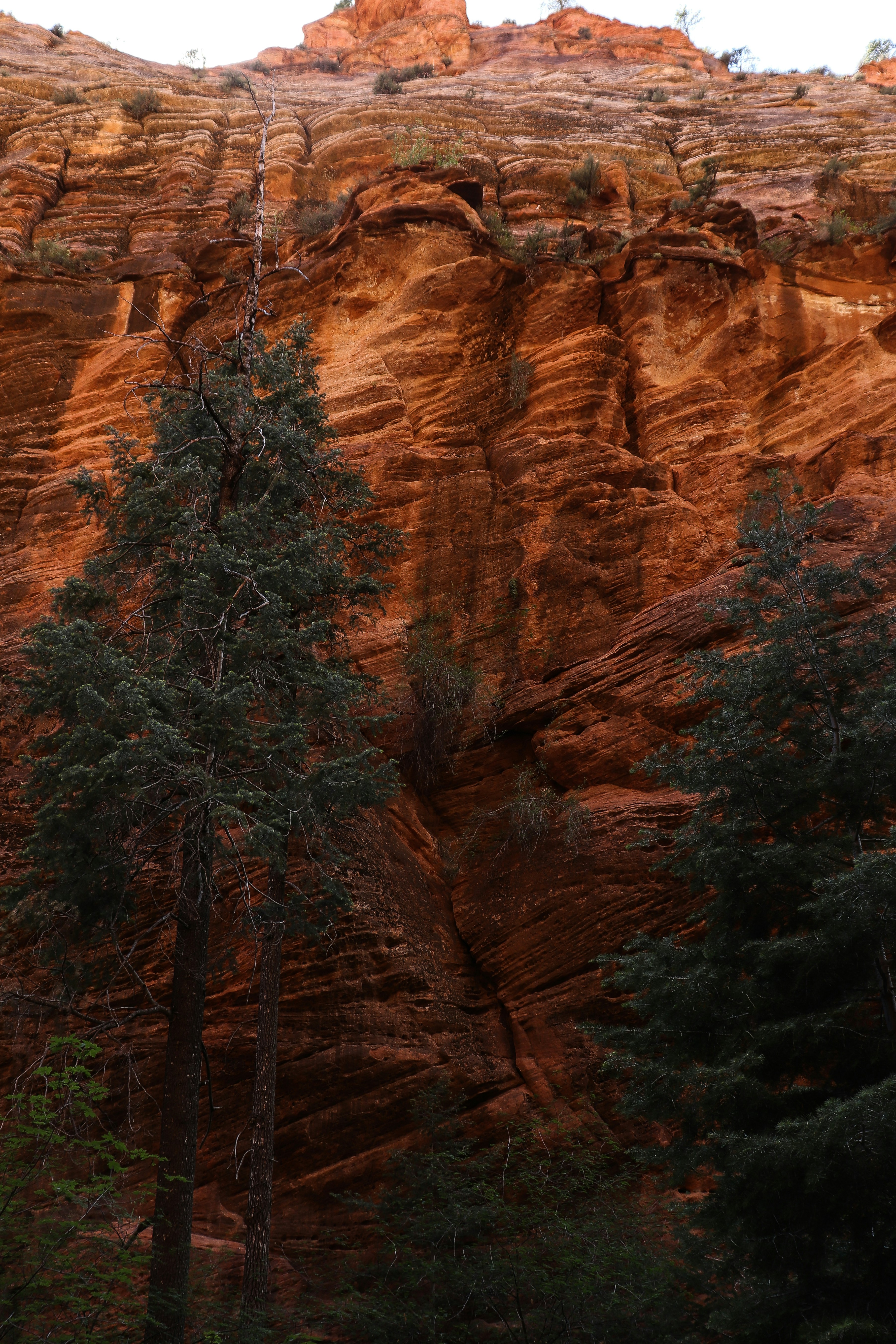 Photo by brendaaphotography