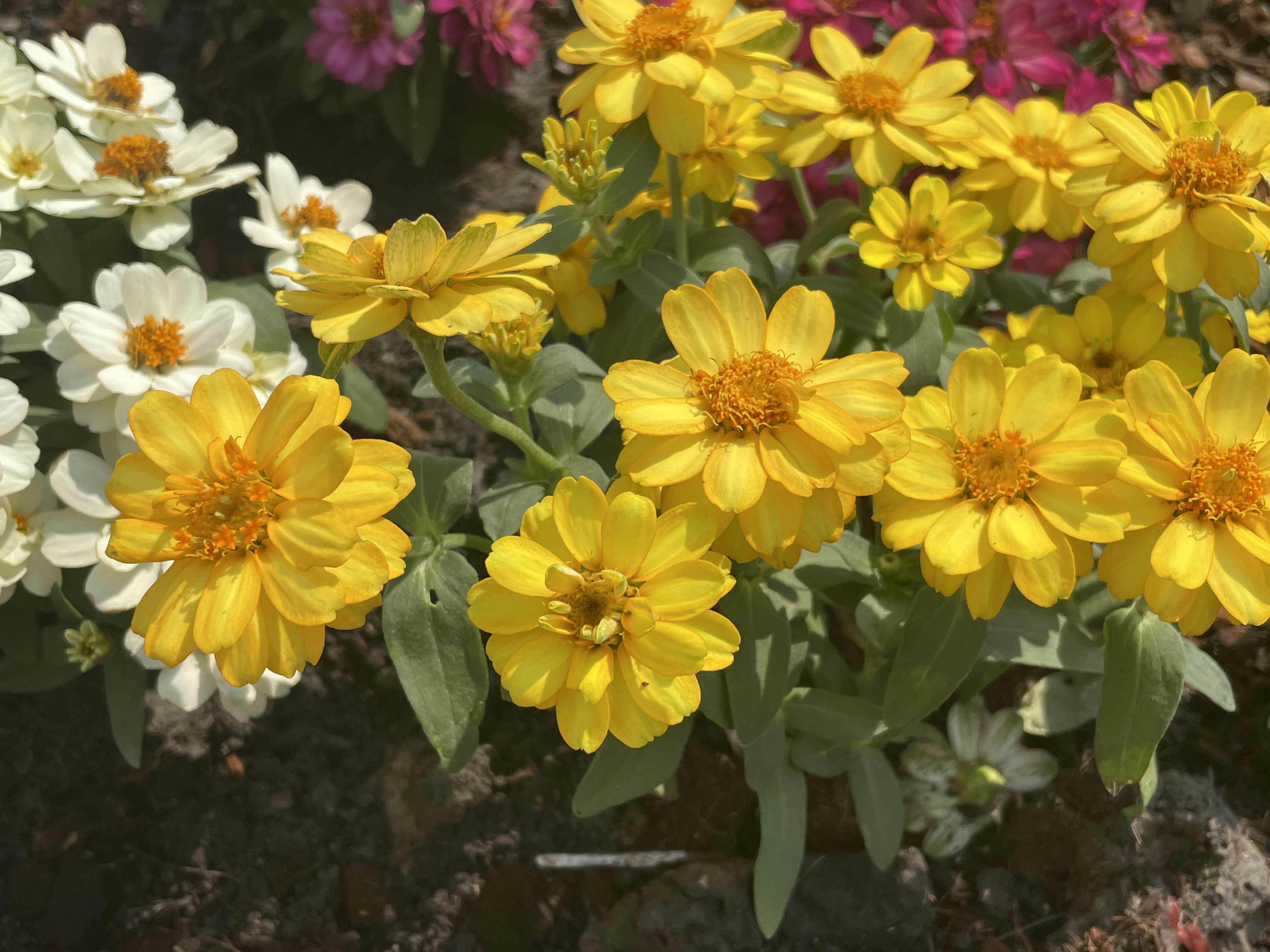 Photo by paintinhiding