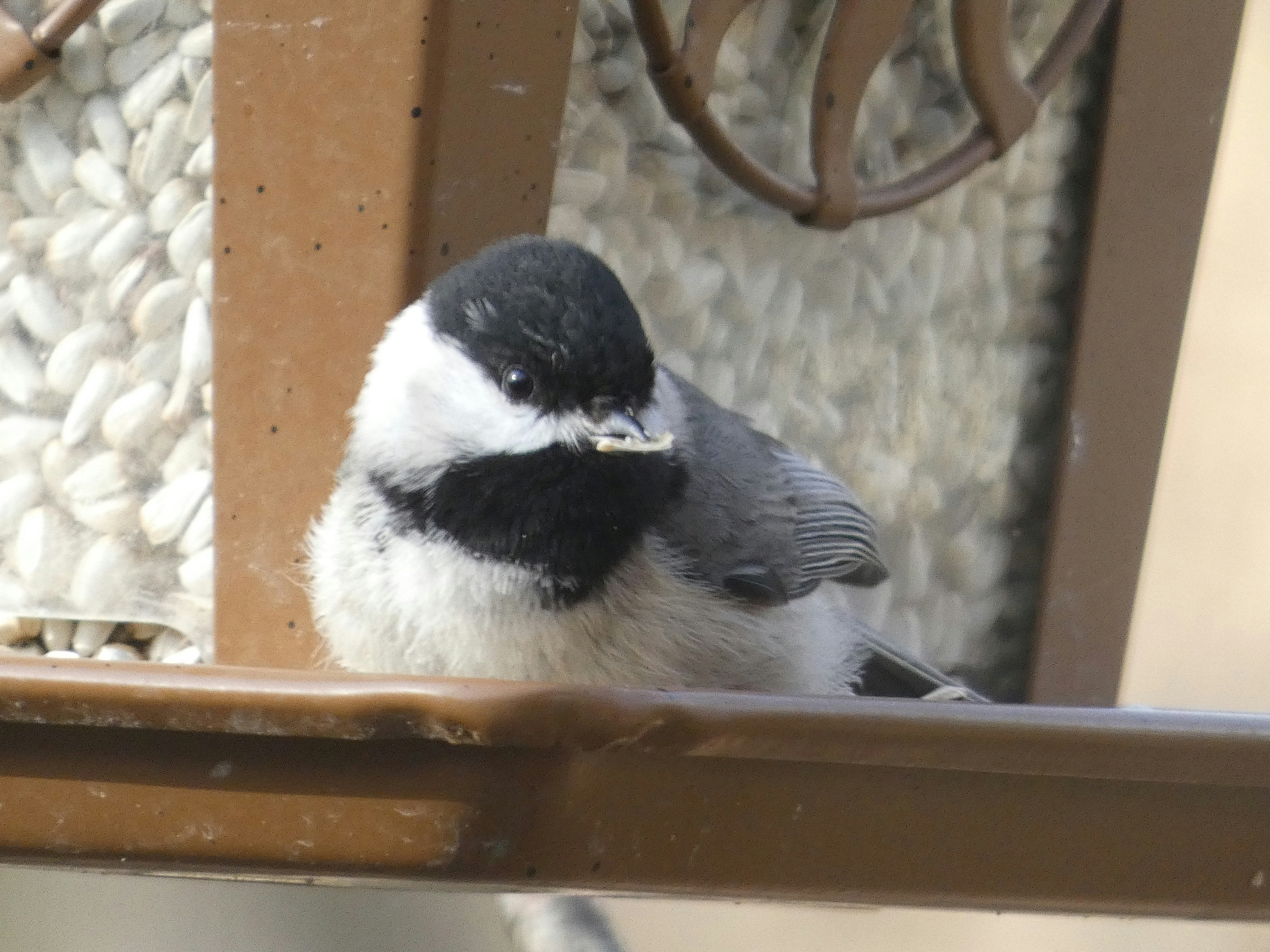 Photo by arkansas007