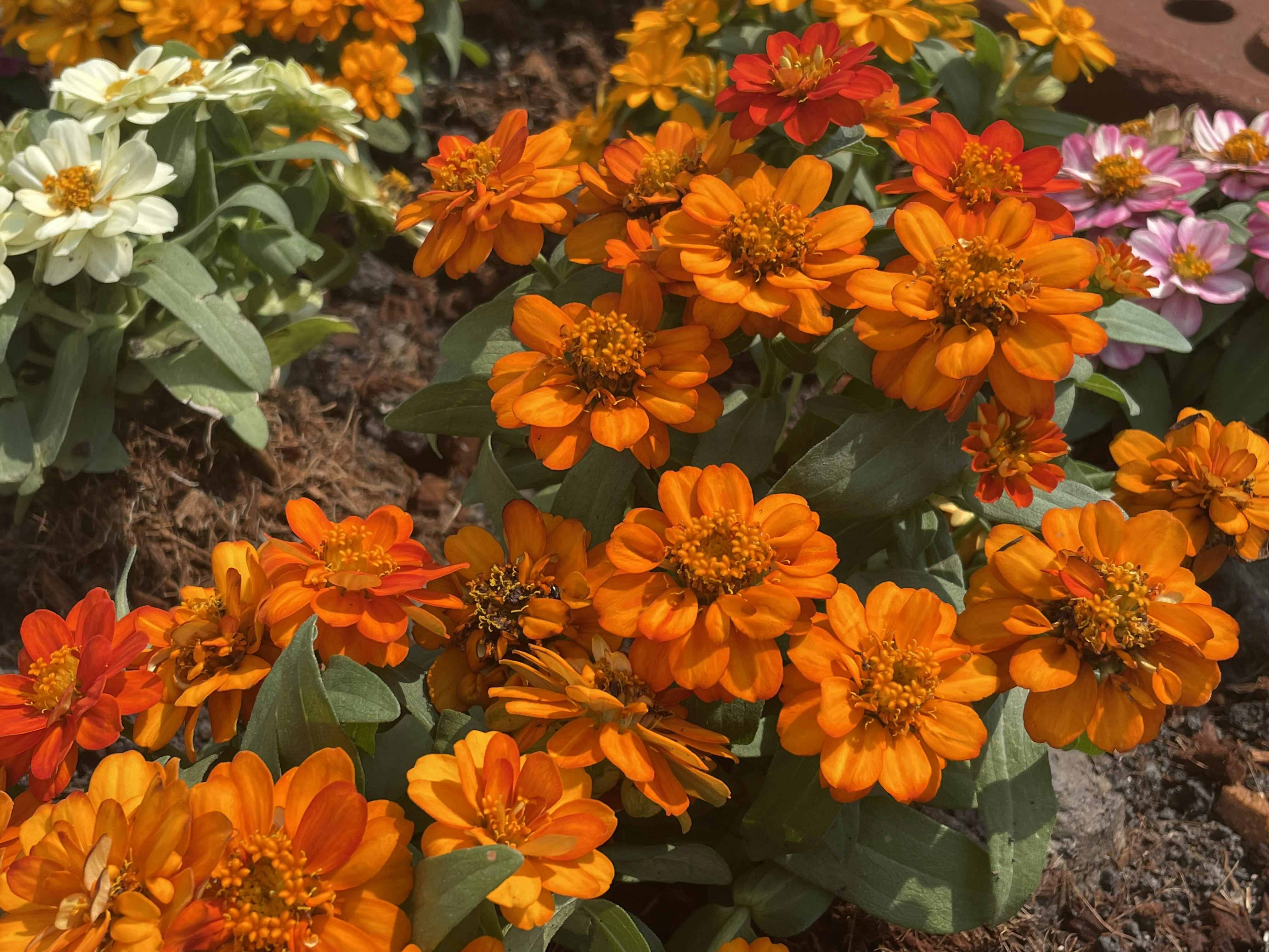 Photo by paintinhiding