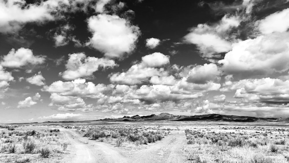 Une photo en noir et blanc d’un chemin de terre