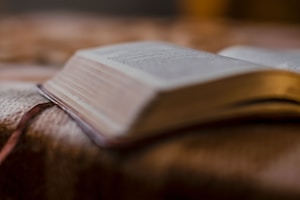 Mindful Reading