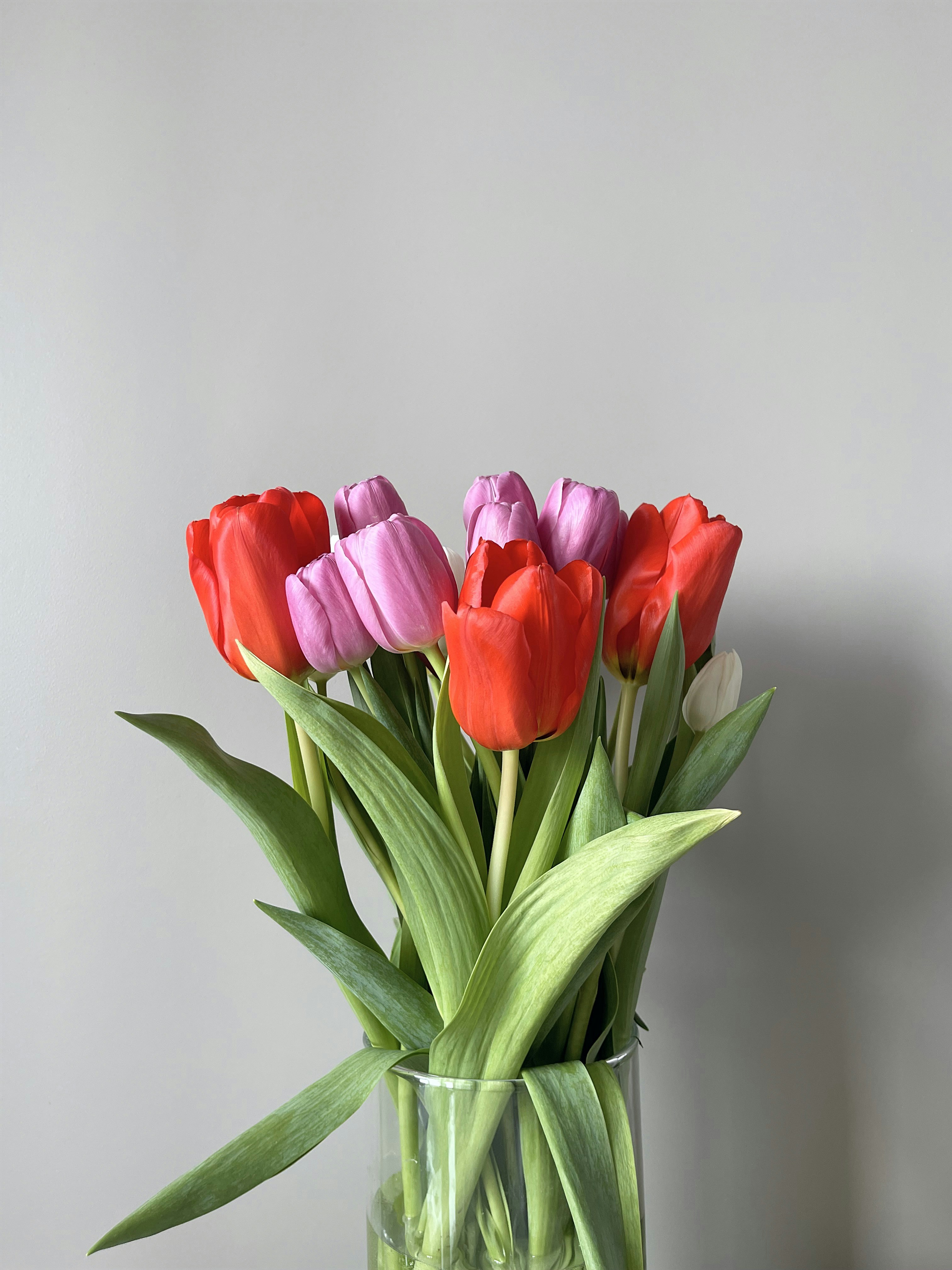 Photo by its__amazing