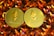 Two gold coins featuring the Ethereum logo are surrounded by numerous shiny, orange gemstones on a dark background. The coins have the Ethereum symbol and the word 'Ethereum' embossed on them.
