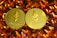Two gold coins featuring the Ethereum logo are surrounded by numerous shiny, orange gemstones on a dark background. The coins have the Ethereum symbol and the word 'Ethereum' embossed on them.