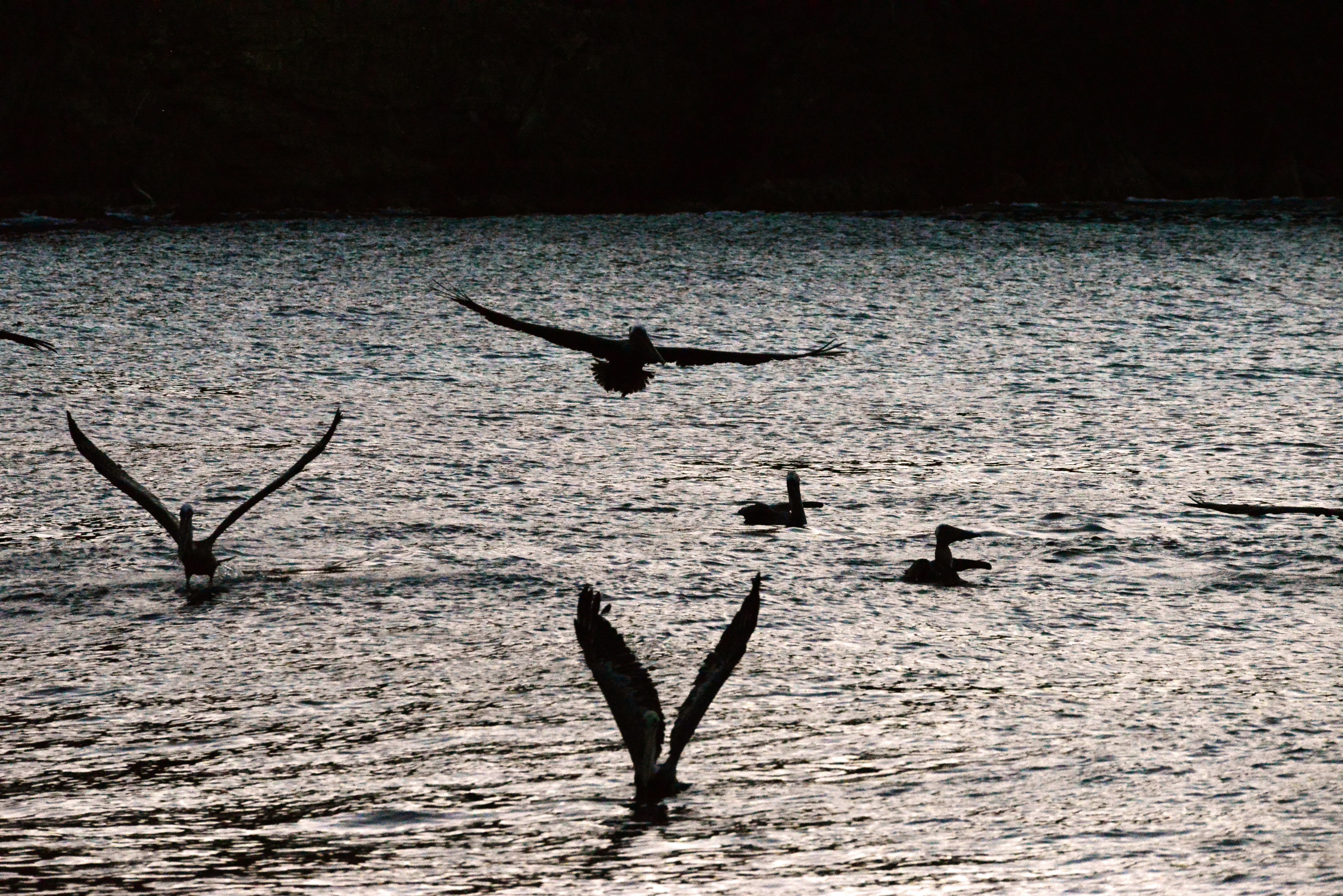 Photo by climatechangevi