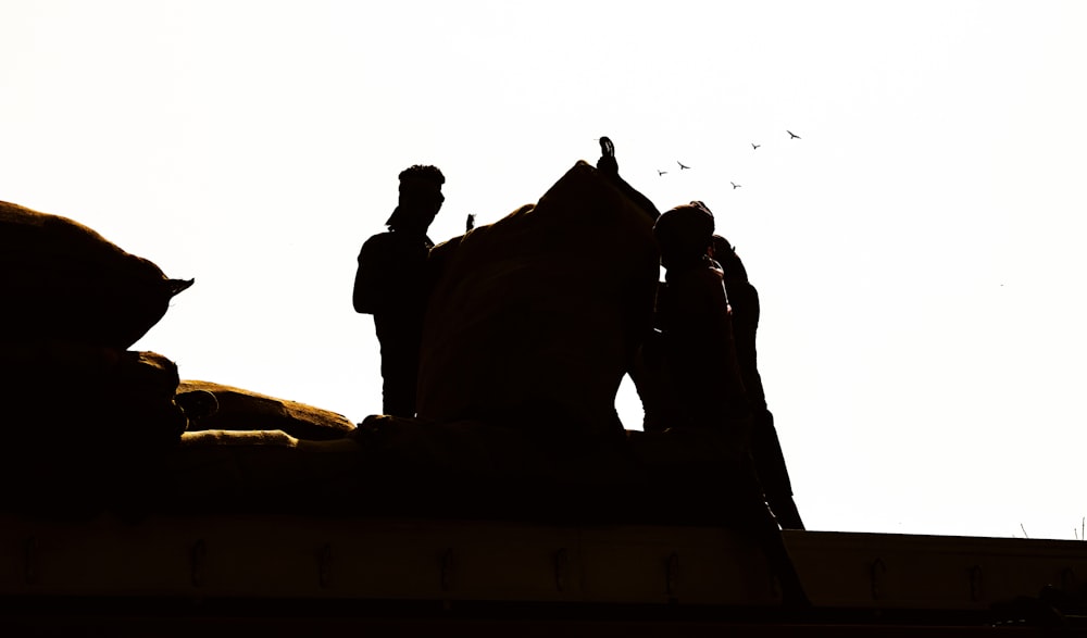 a couple of people standing on top of a roof