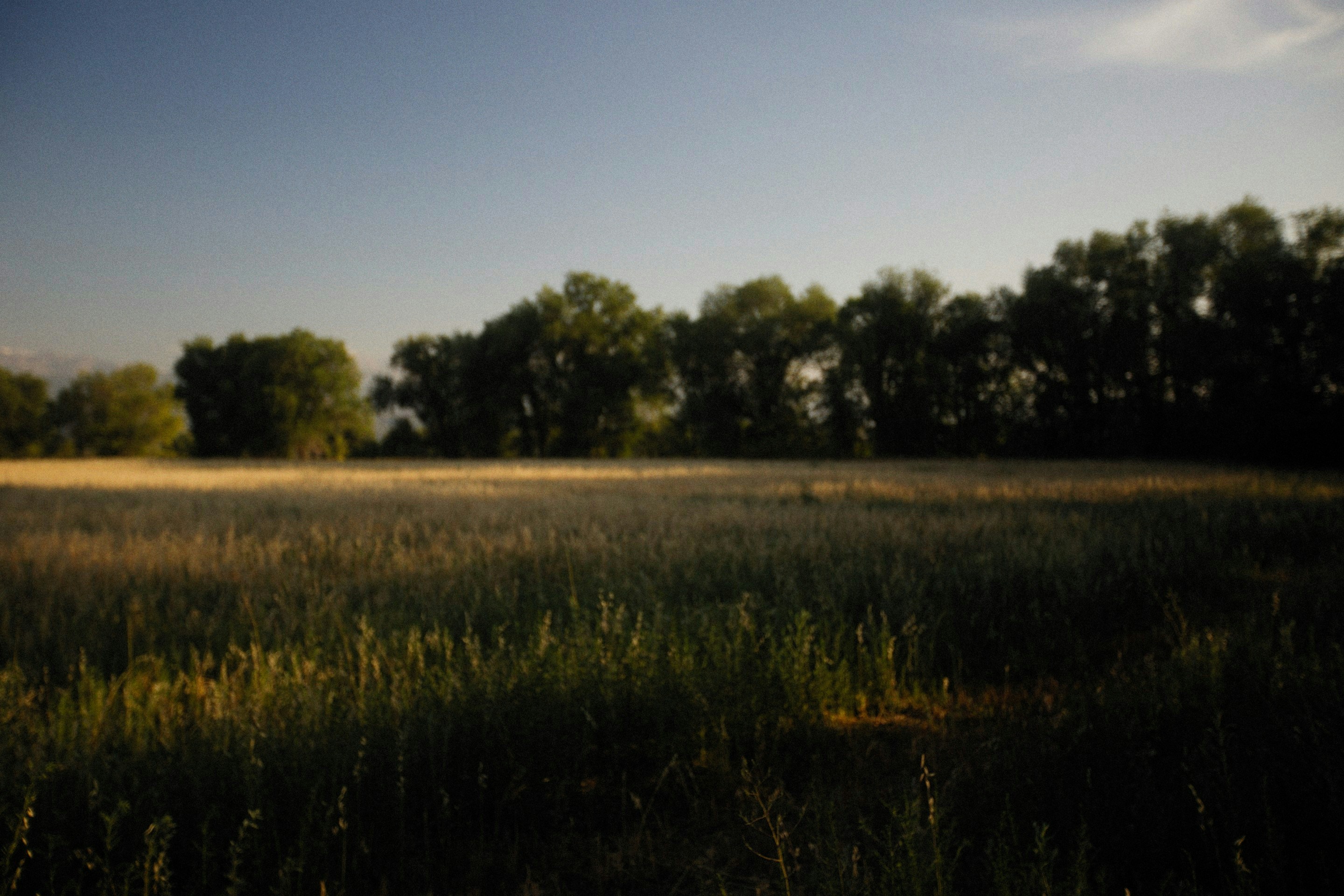 Photo by alexeydemidov