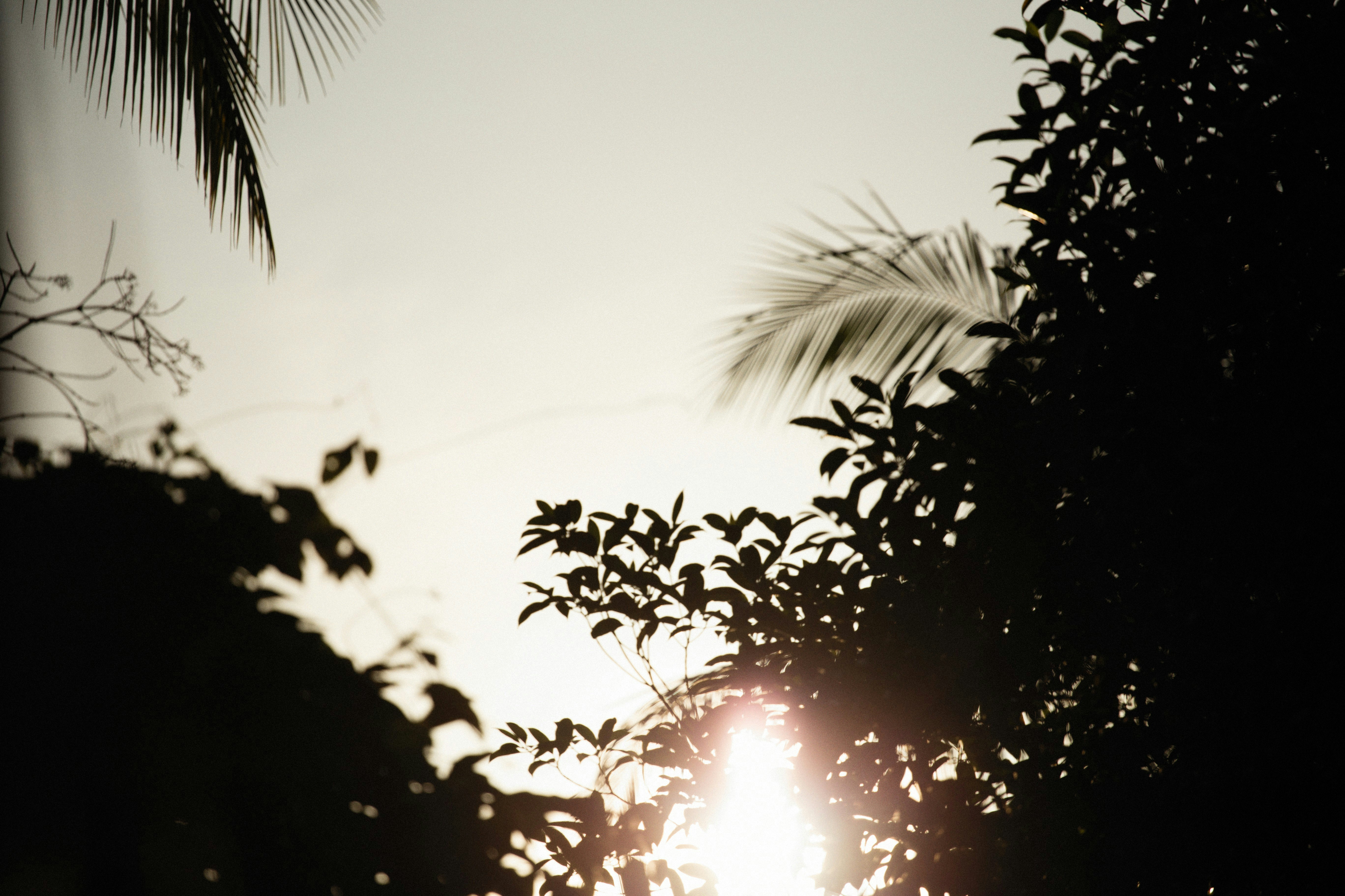 Photo by alexeydemidov