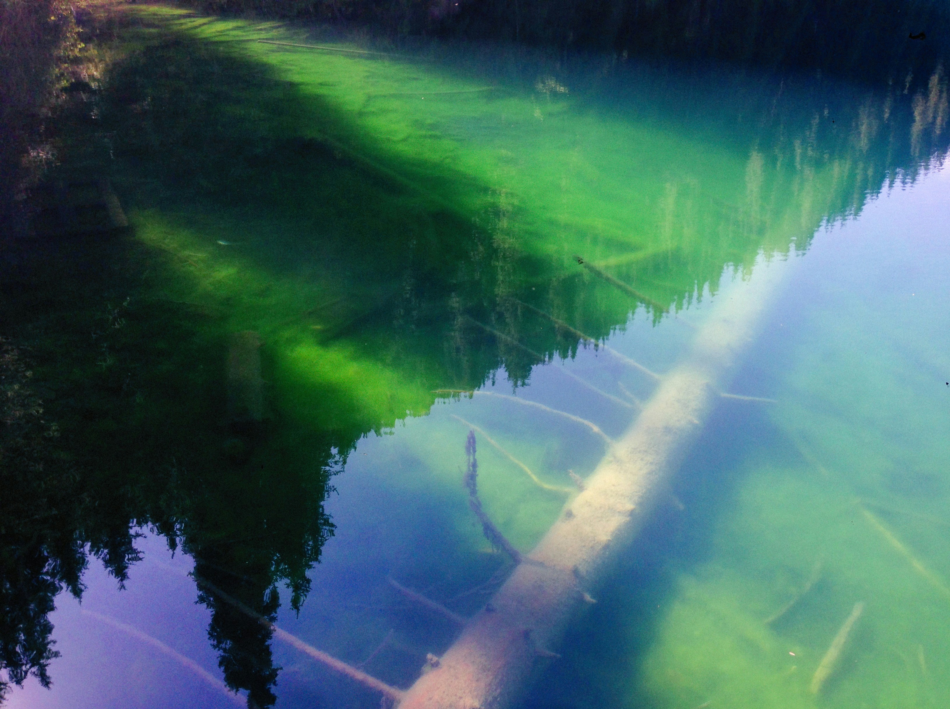 Photo by alexeydemidov