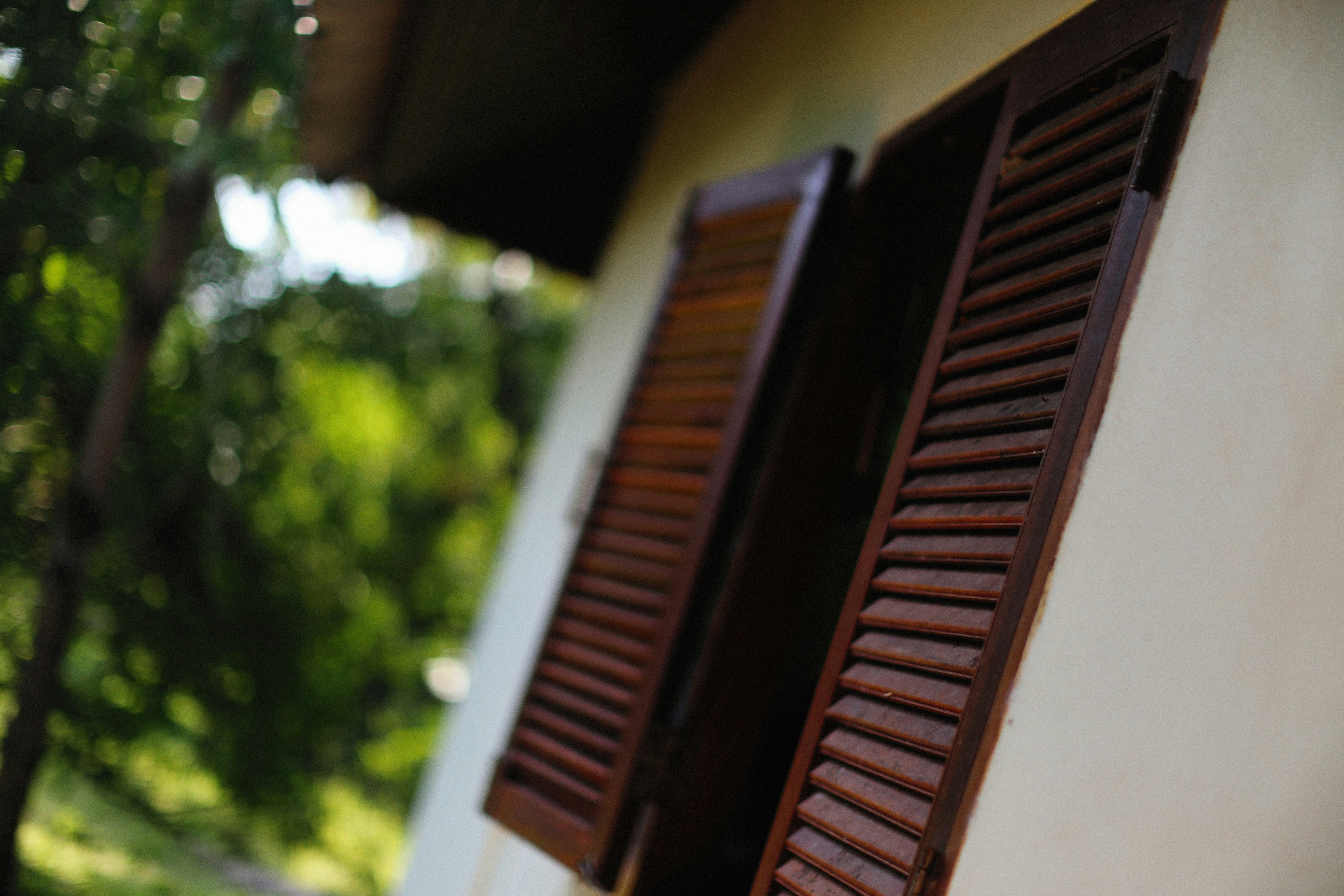 stained timber plantation shutters on a corner window