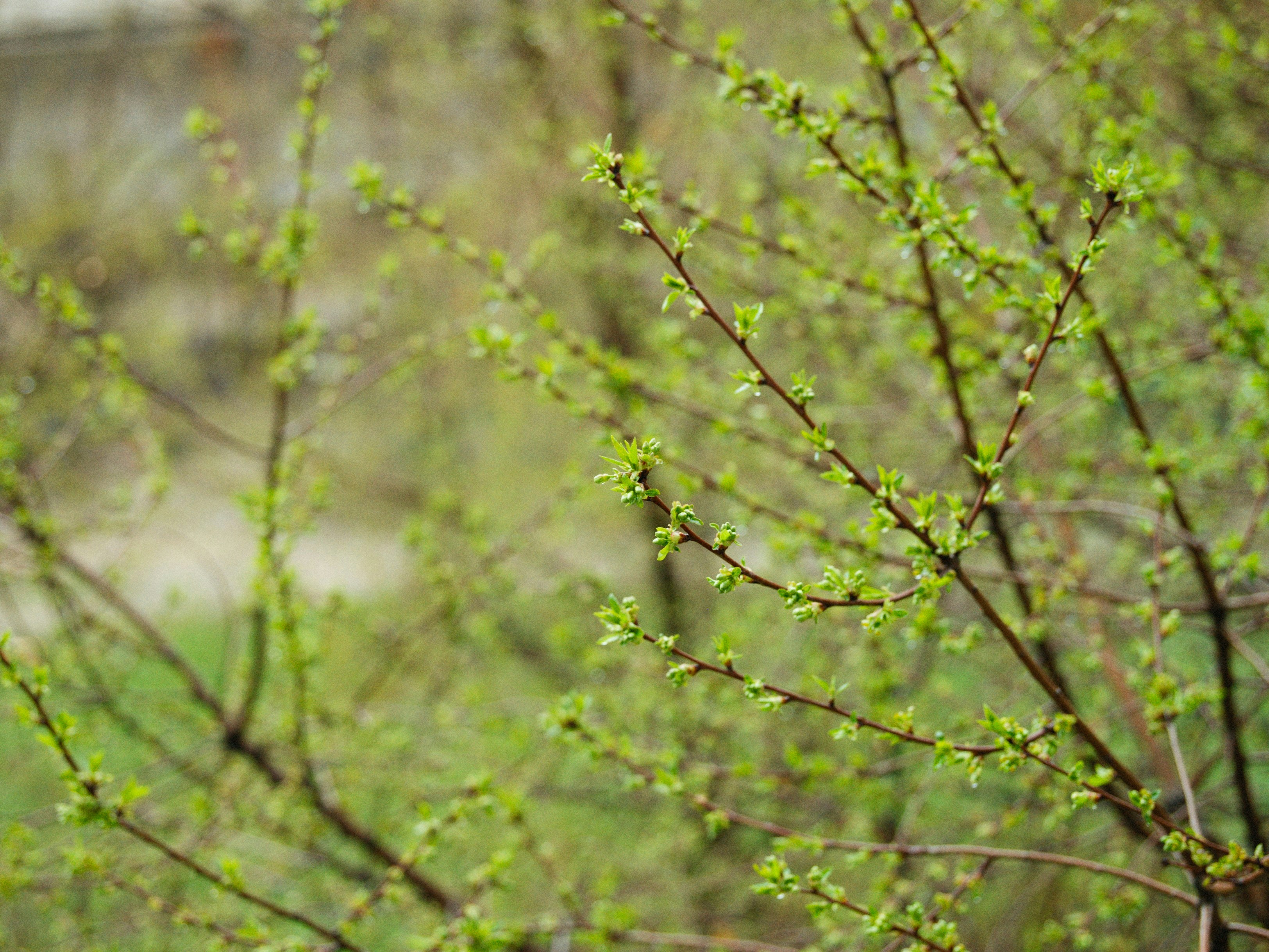 Photo by alexeydemidov