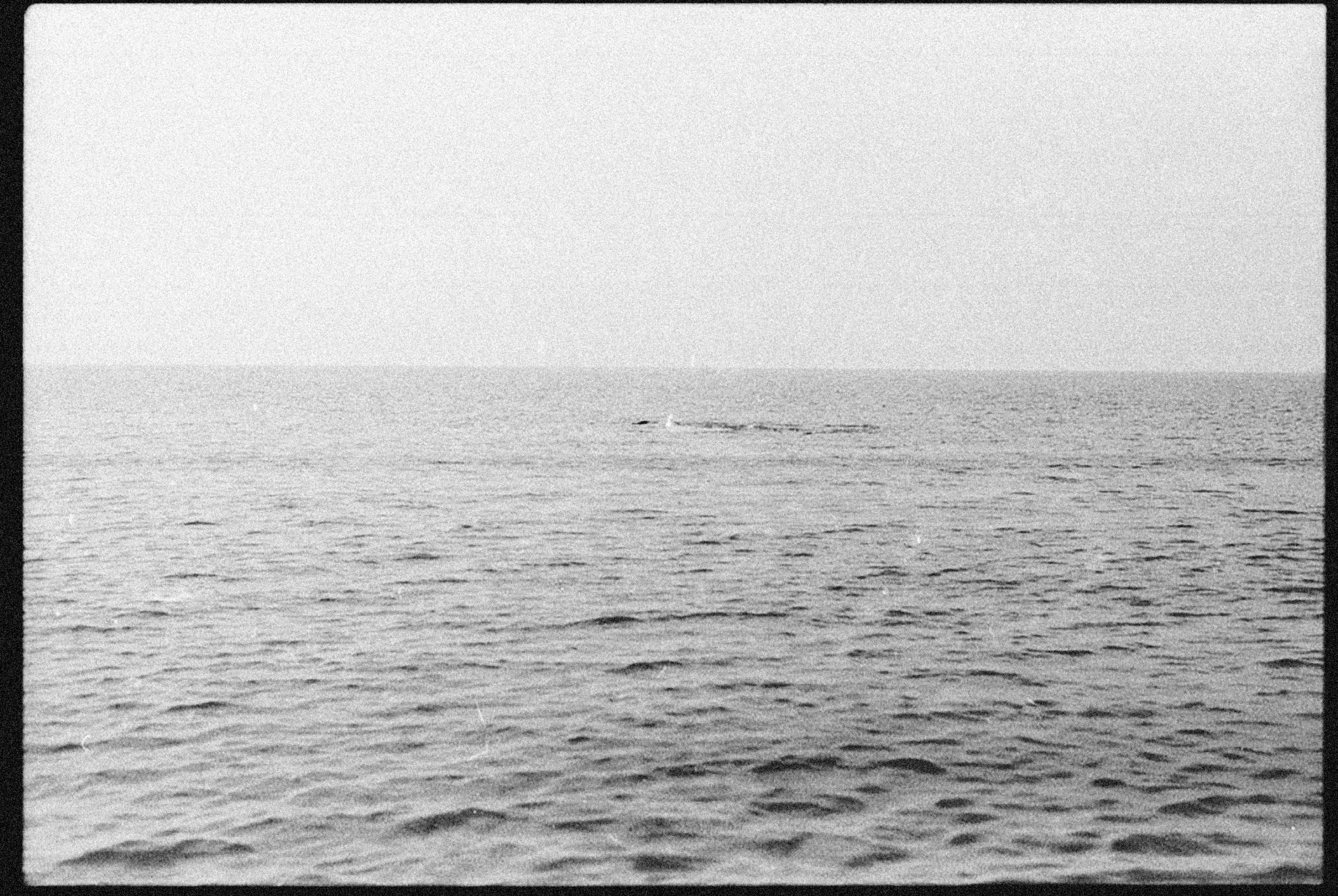 Photo by alexeydemidov