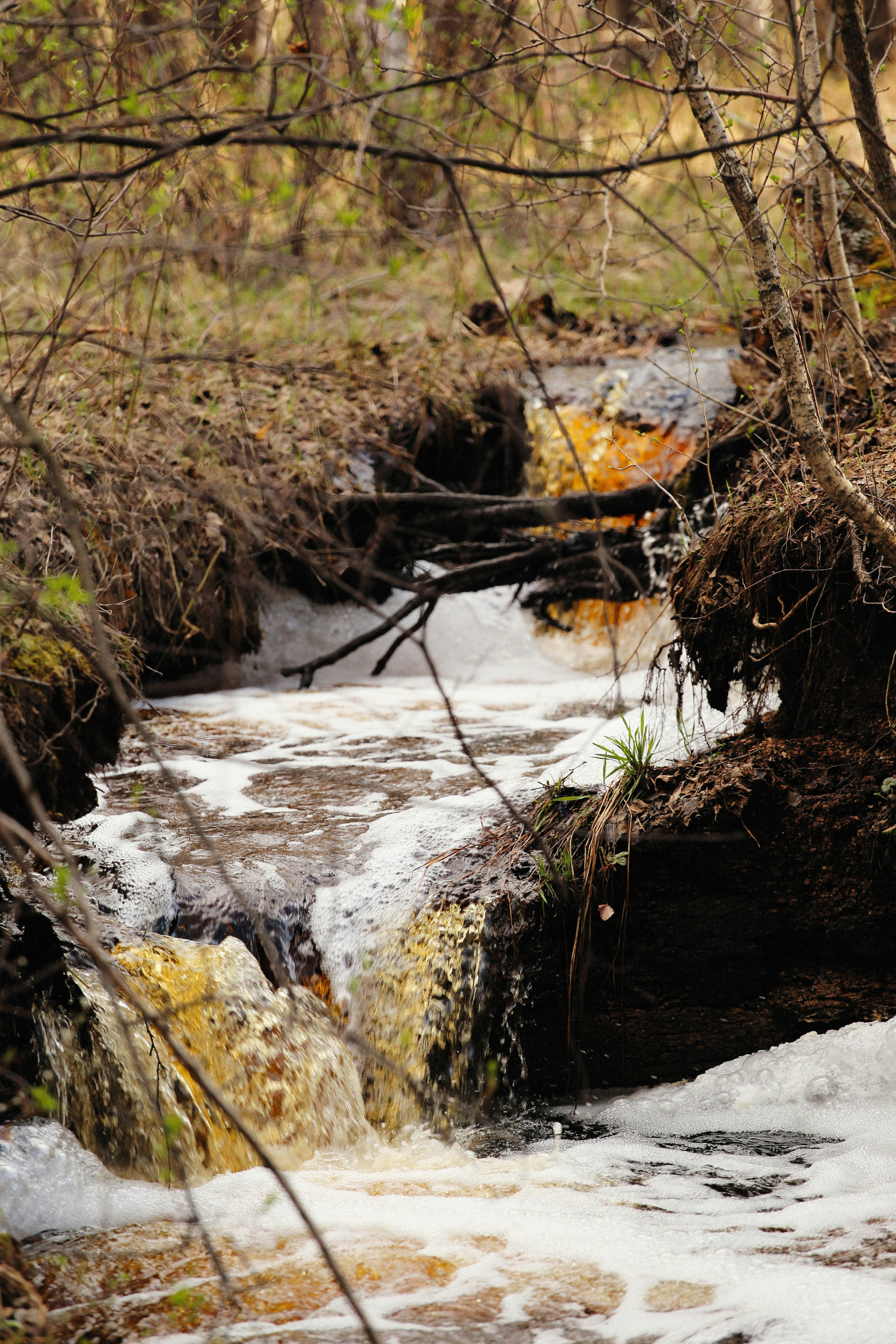 Photo by alexeydemidov