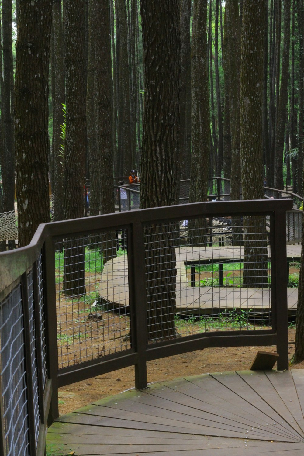 a spiral staircase in the middle of a park