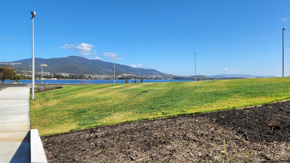 a grassy field next to a body of water