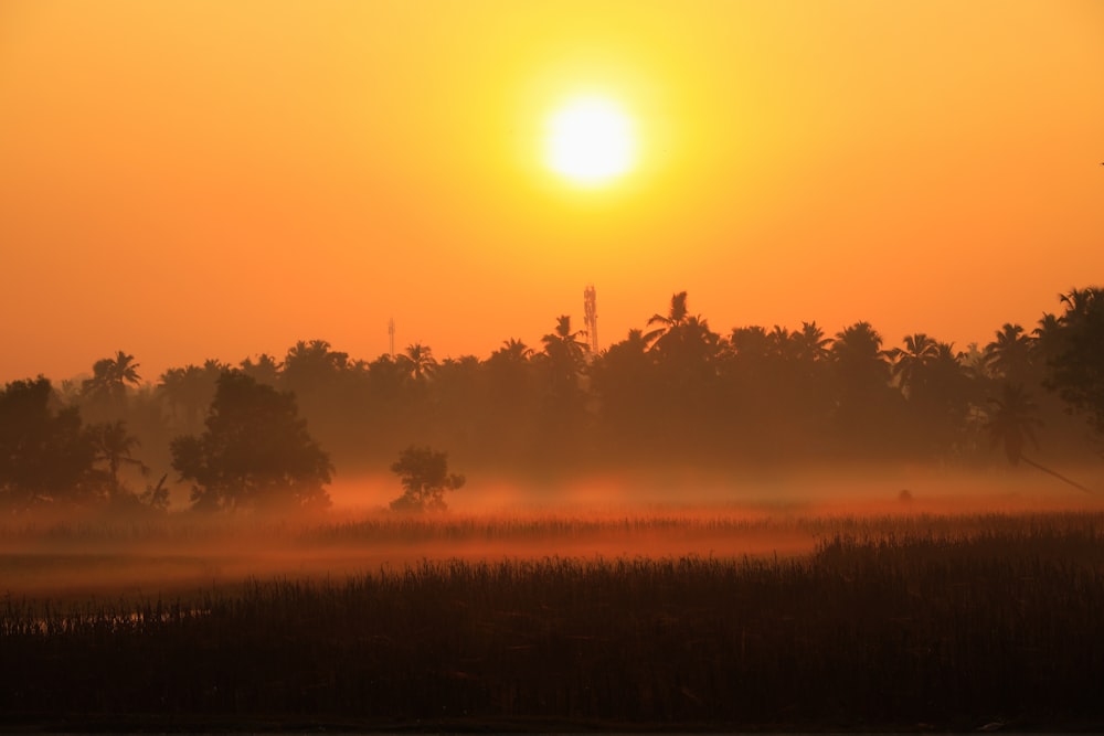 the sun is setting over a foggy field