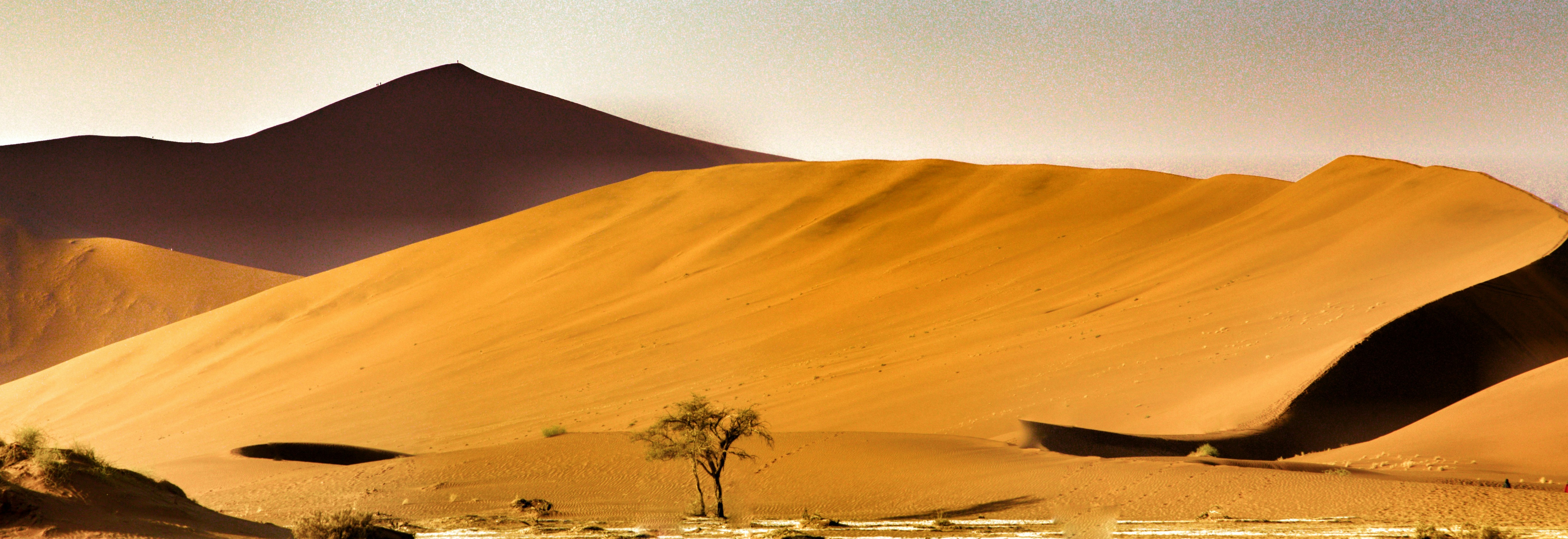 desert landscape wallpaper, wallpaper, Boondocking in the Desert: Essential Tips 3