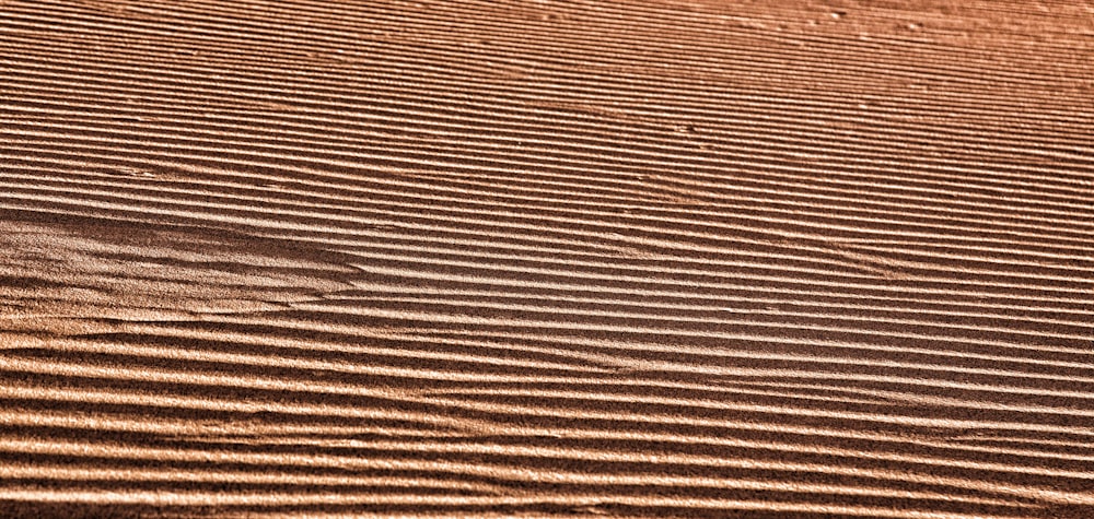 a sandy area with a small patch of grass