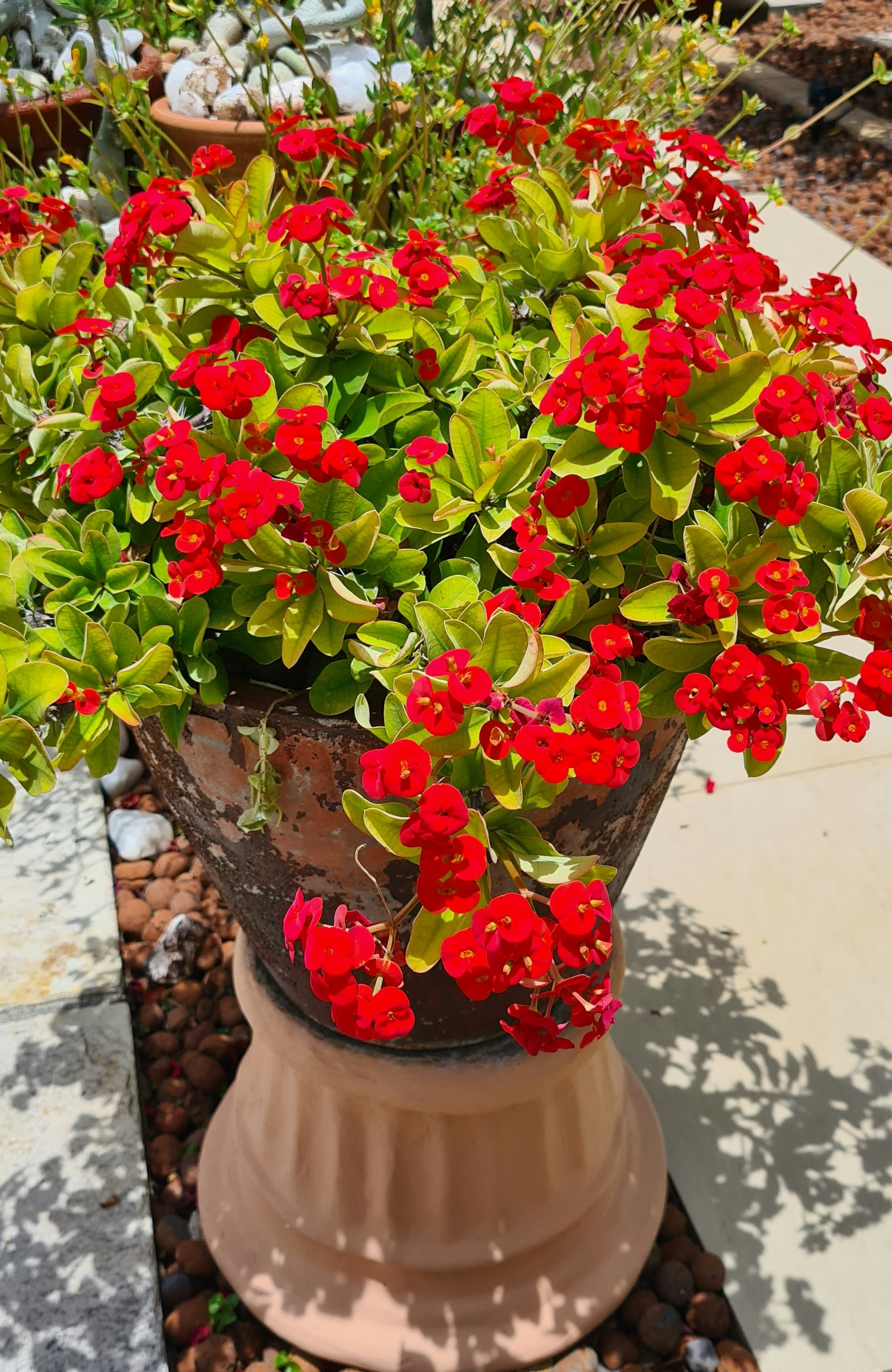 Photo by germano_romero